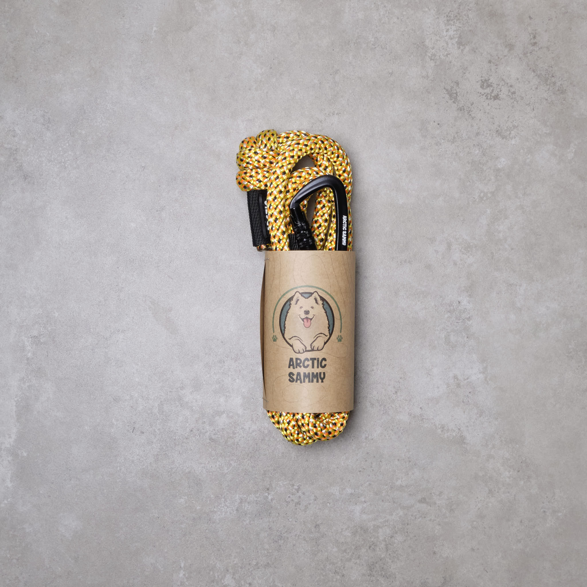 Raglan Rope Dog Leash with Traffic Handle