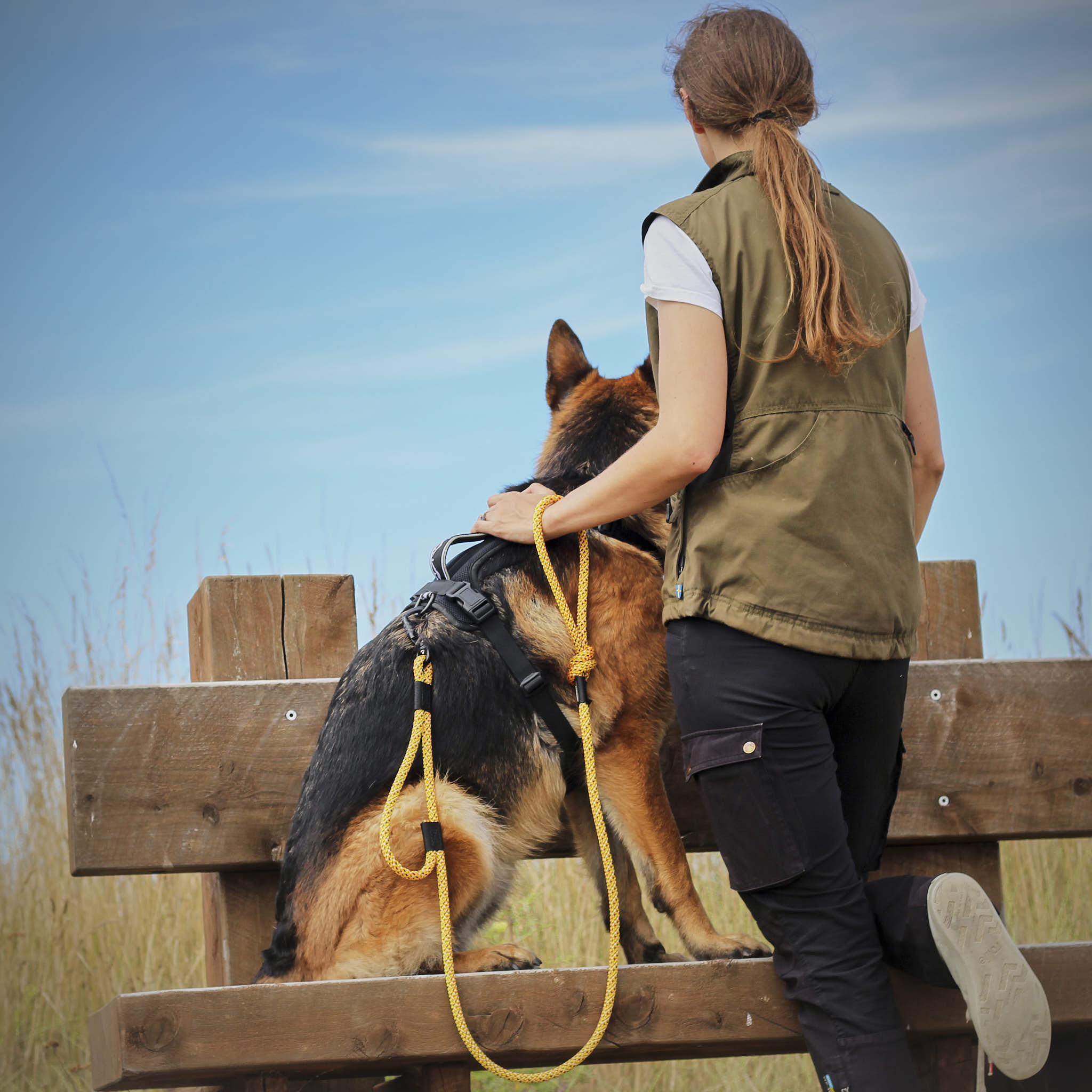 Raglan Rope Dog Leash with Traffic Handle