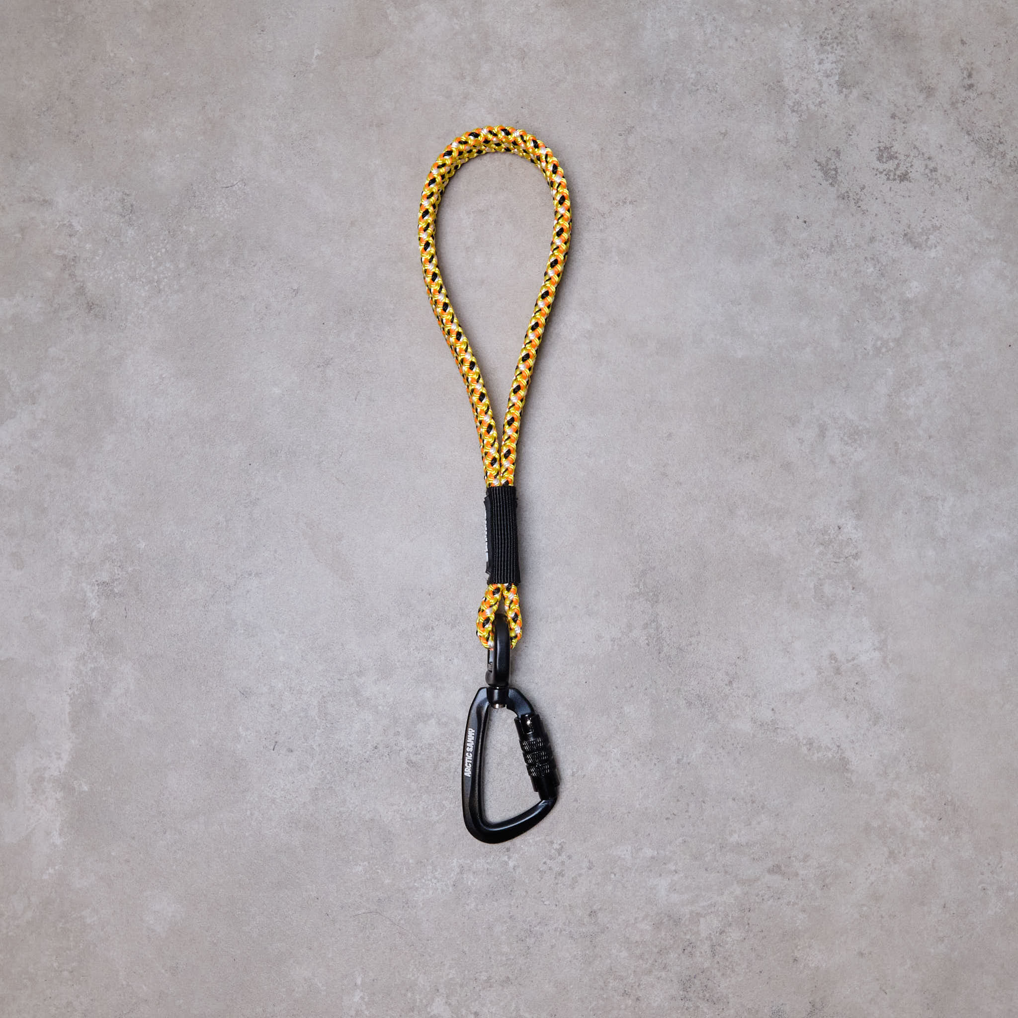 dog transfer leash