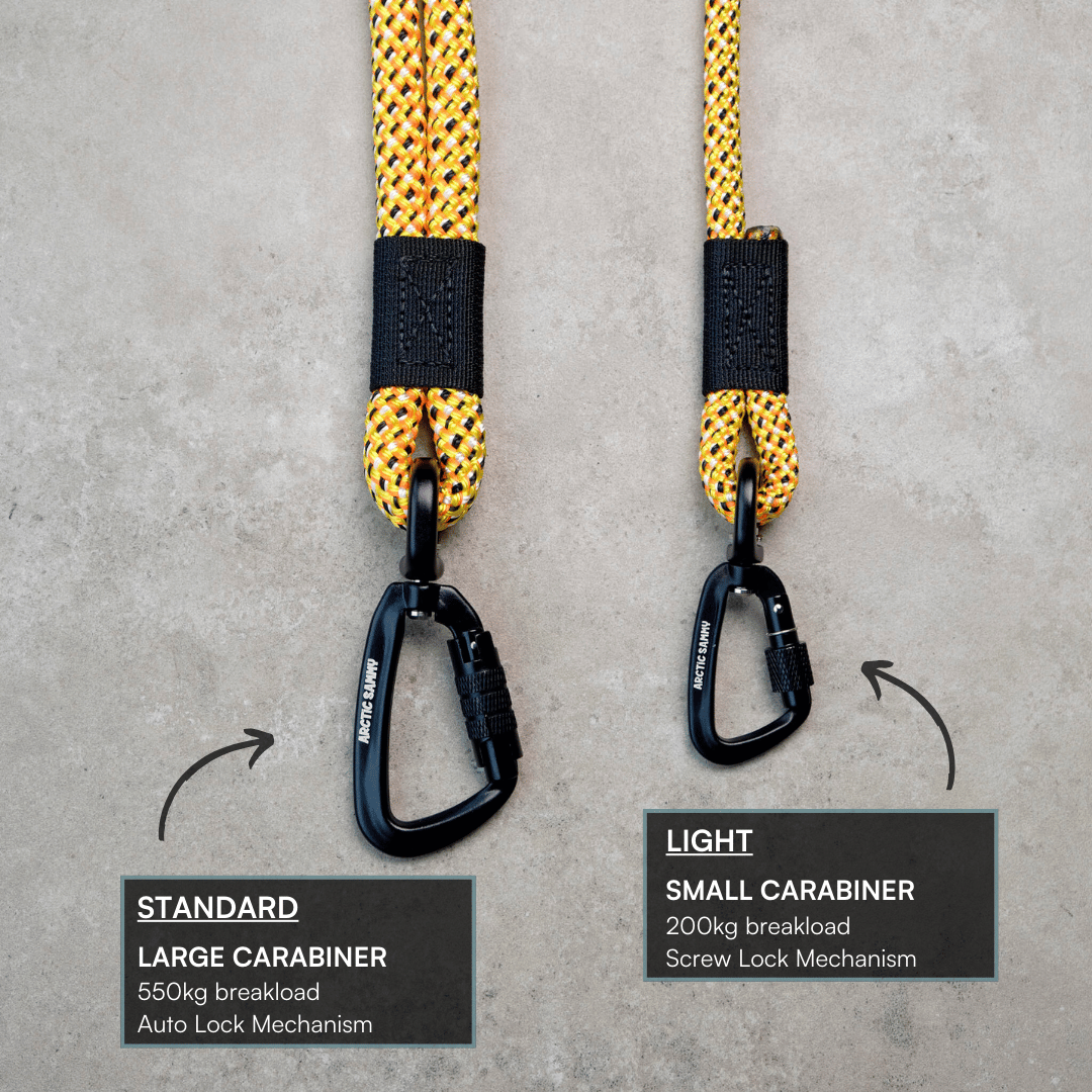 Raglan Rope Dog Leash with Traffic Handle