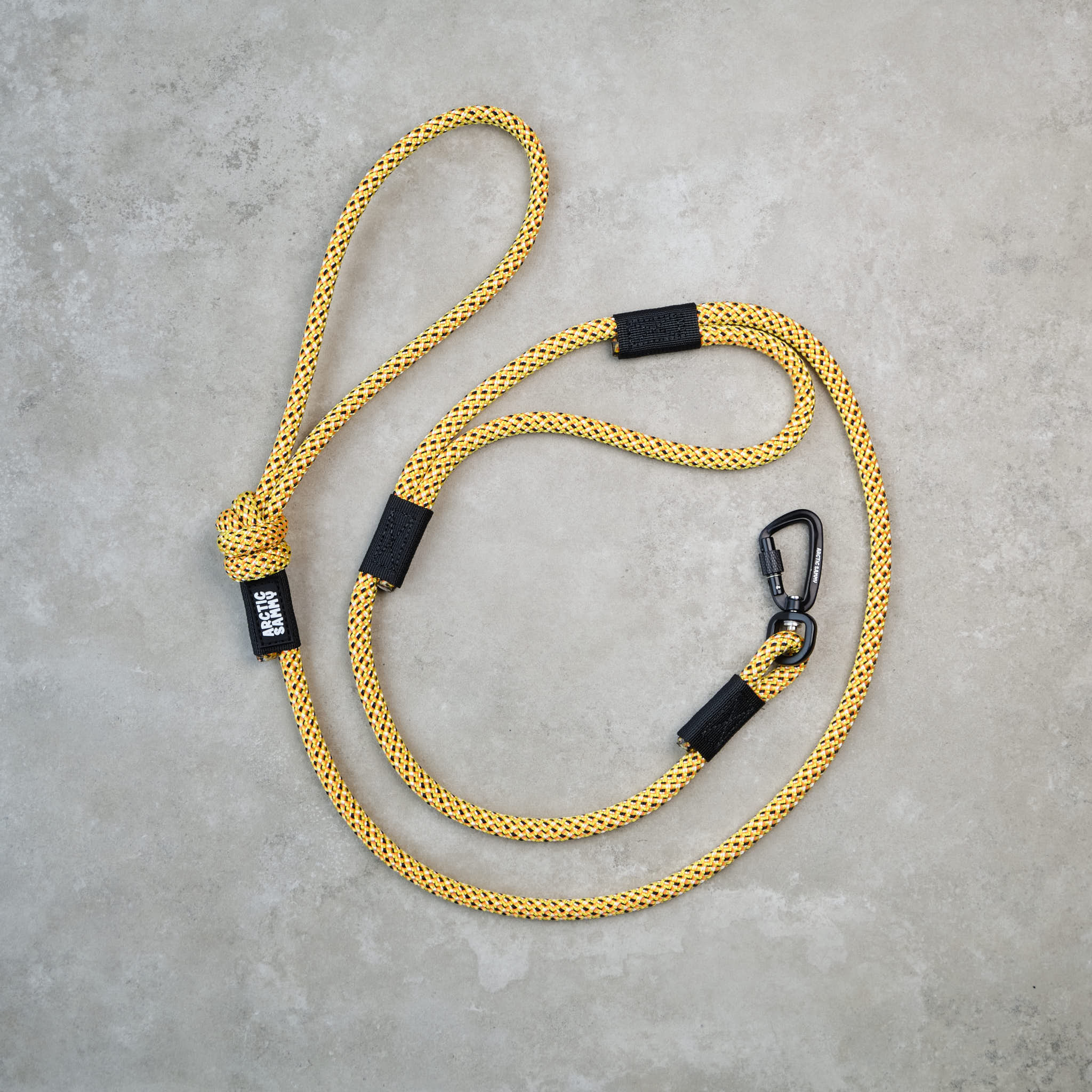 Raglan Rope Dog Leash with Traffic Handle