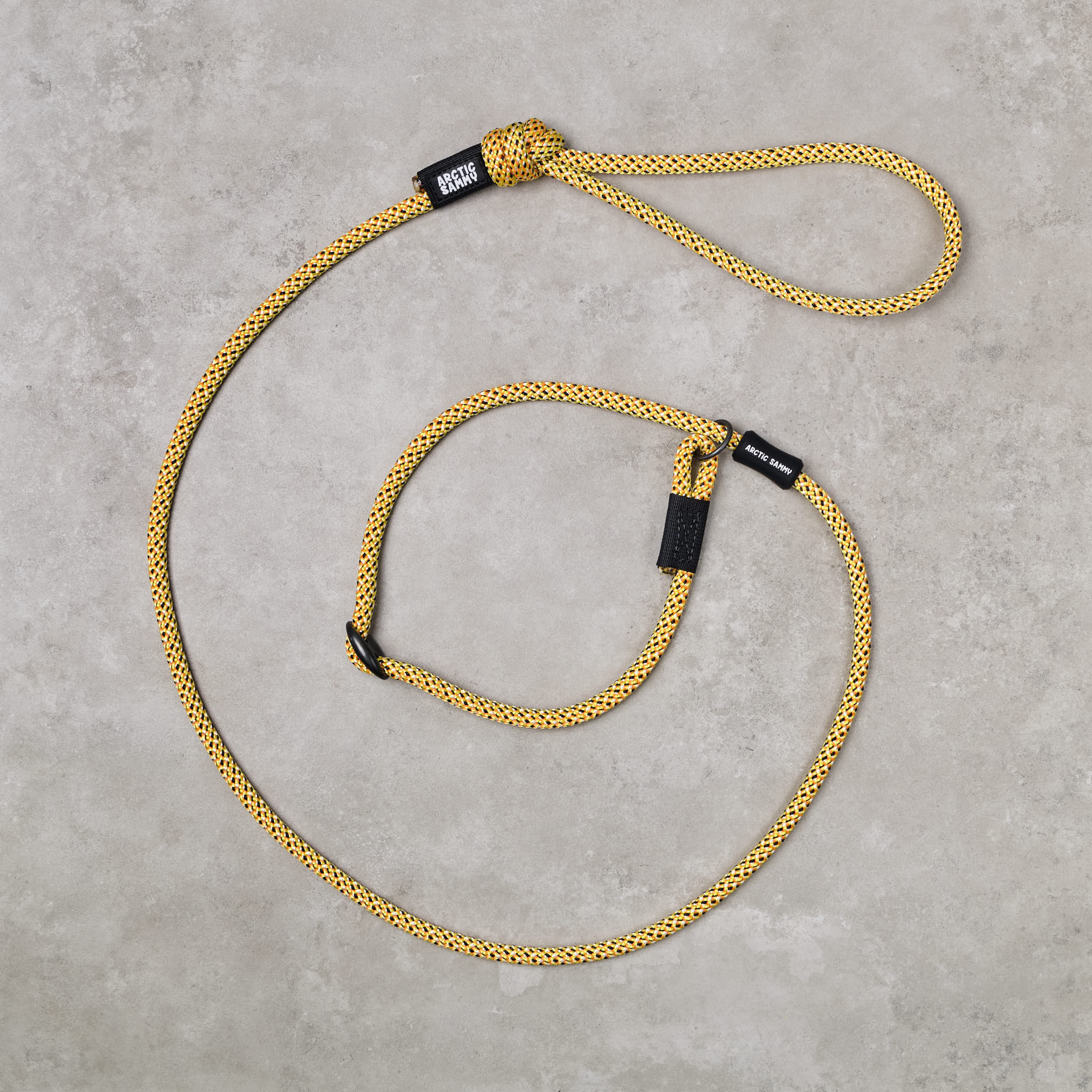 Raglan Dog Slip Leash
