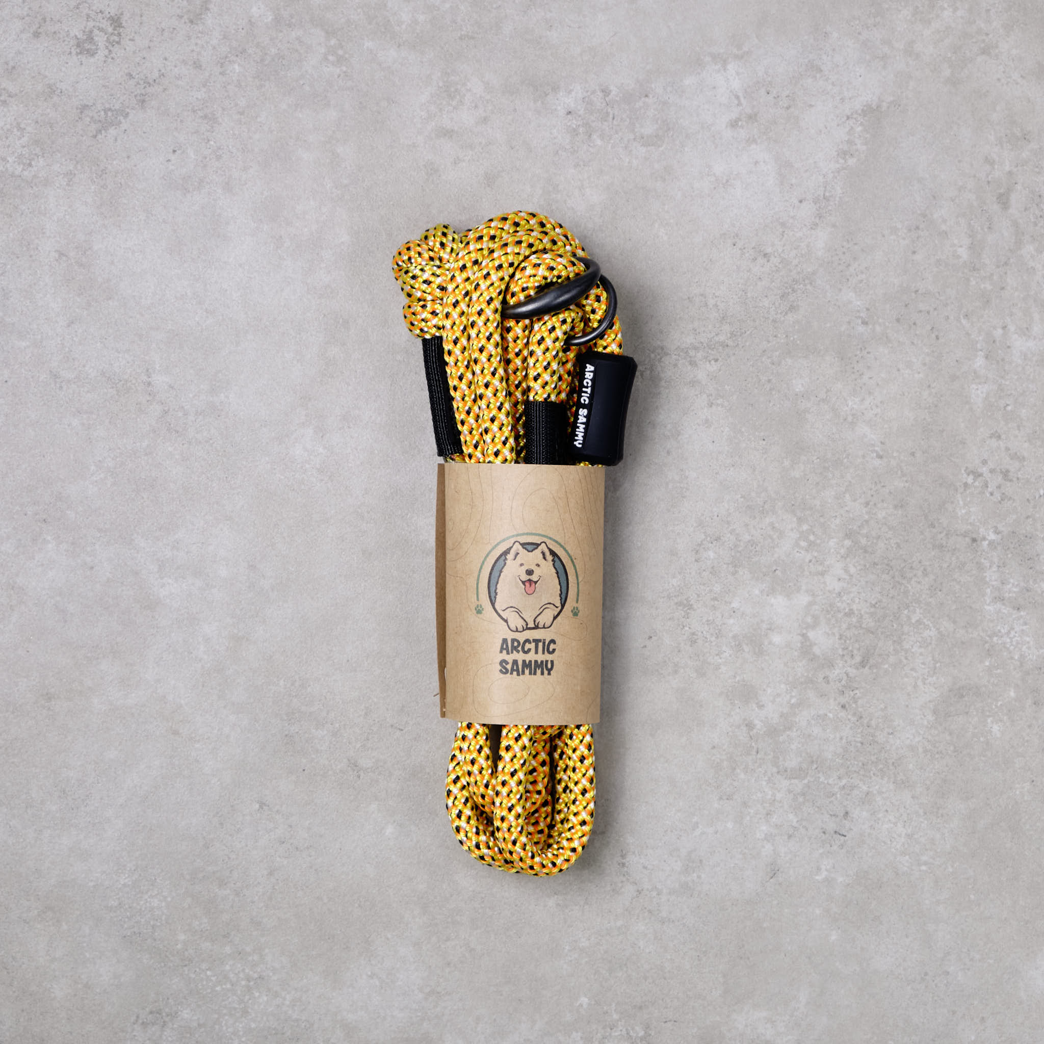 Raglan Dog Slip Leash