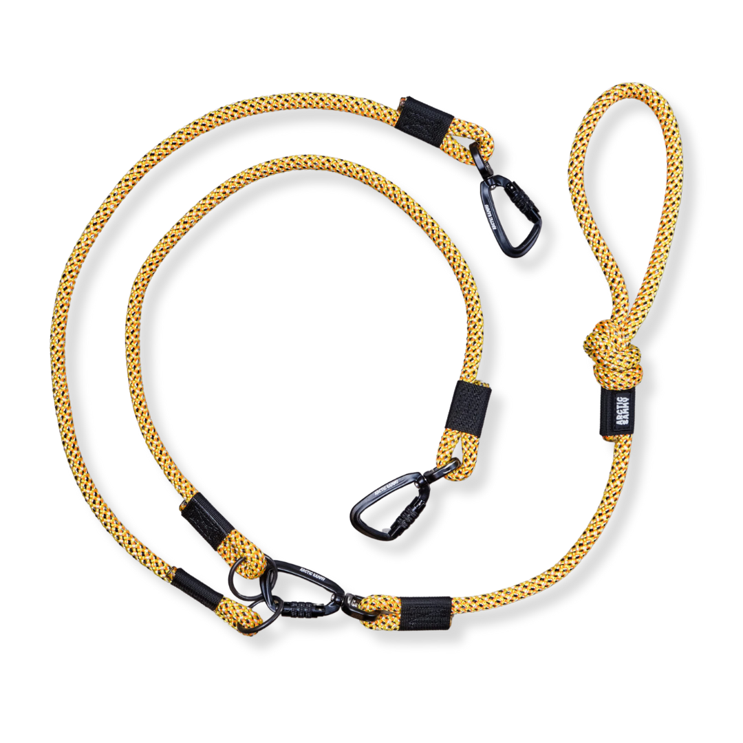 Raglan Double Dog Leash