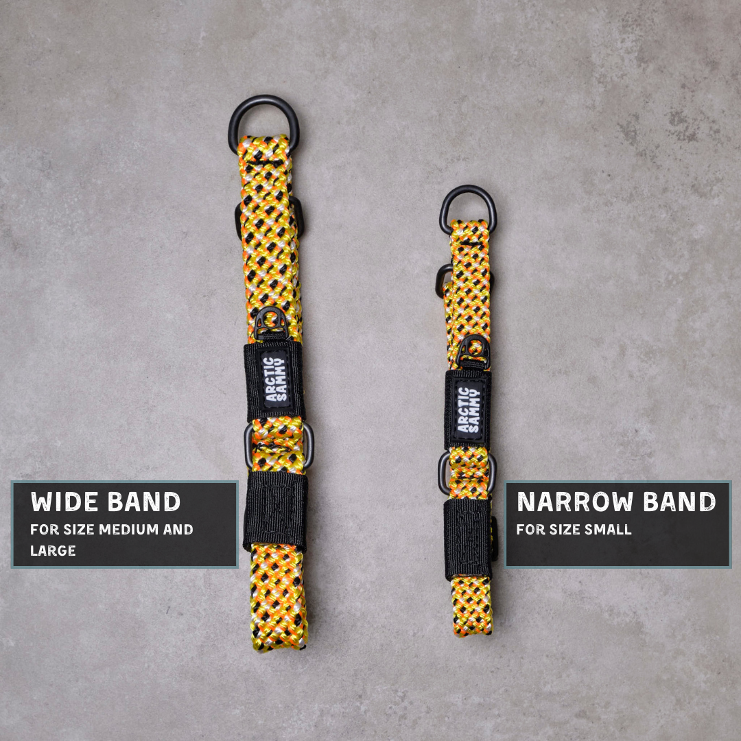 Raglan Martingale Collar