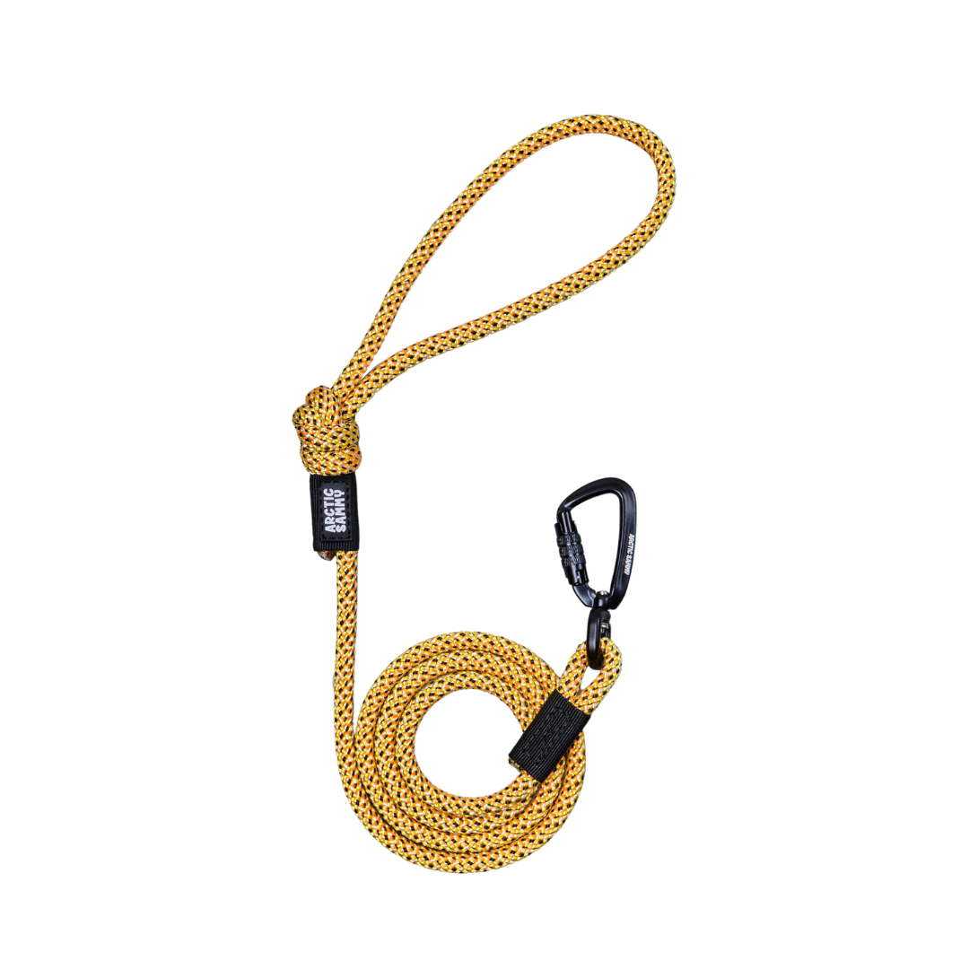 Raglan Small Dog Rope Leash