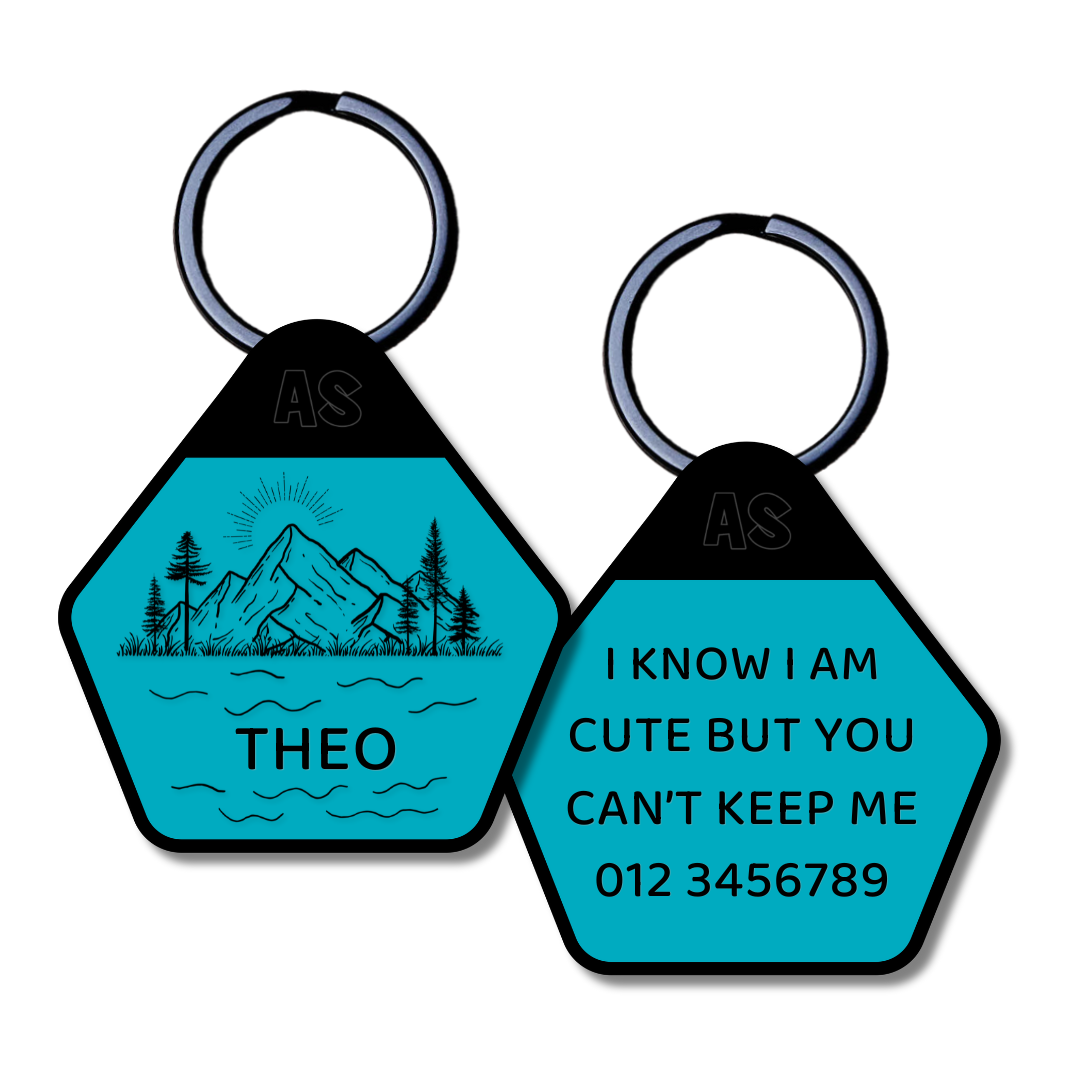 Dog ID Tag - Theo