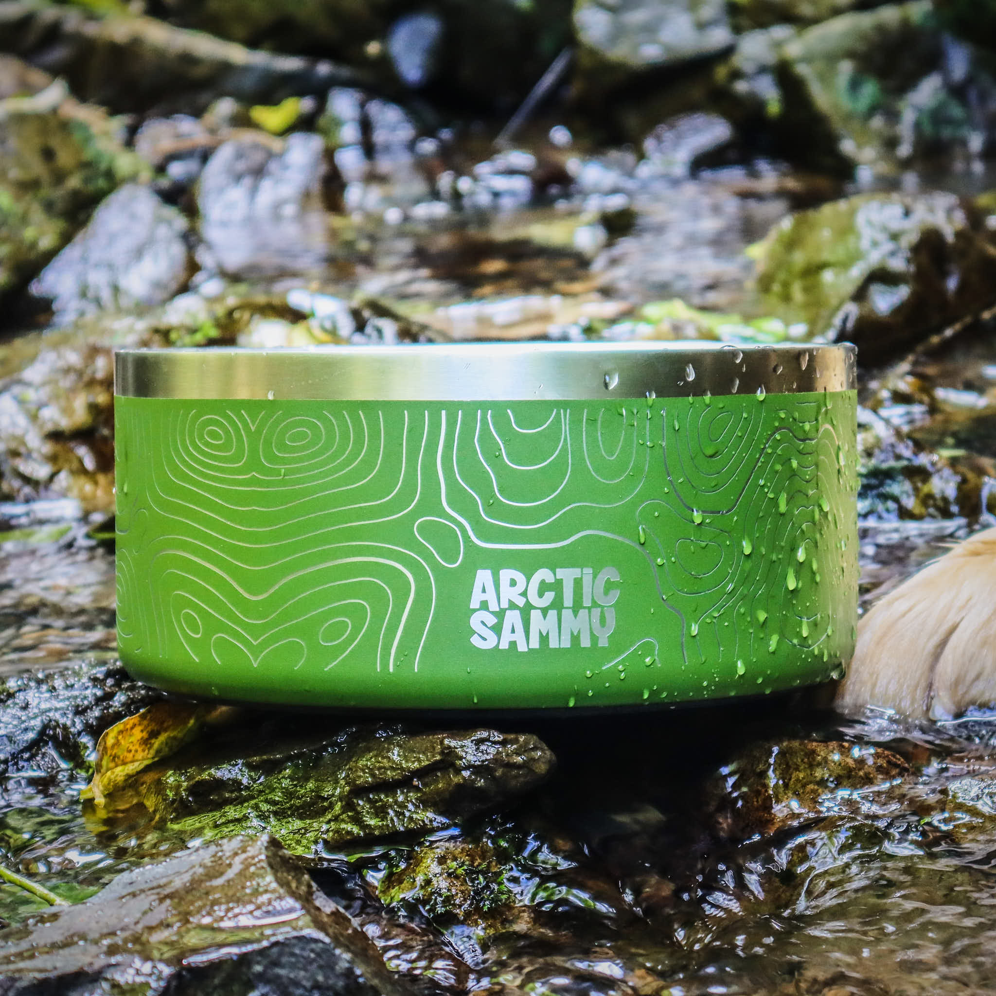 Teal Stainless Steel Dog Bowl