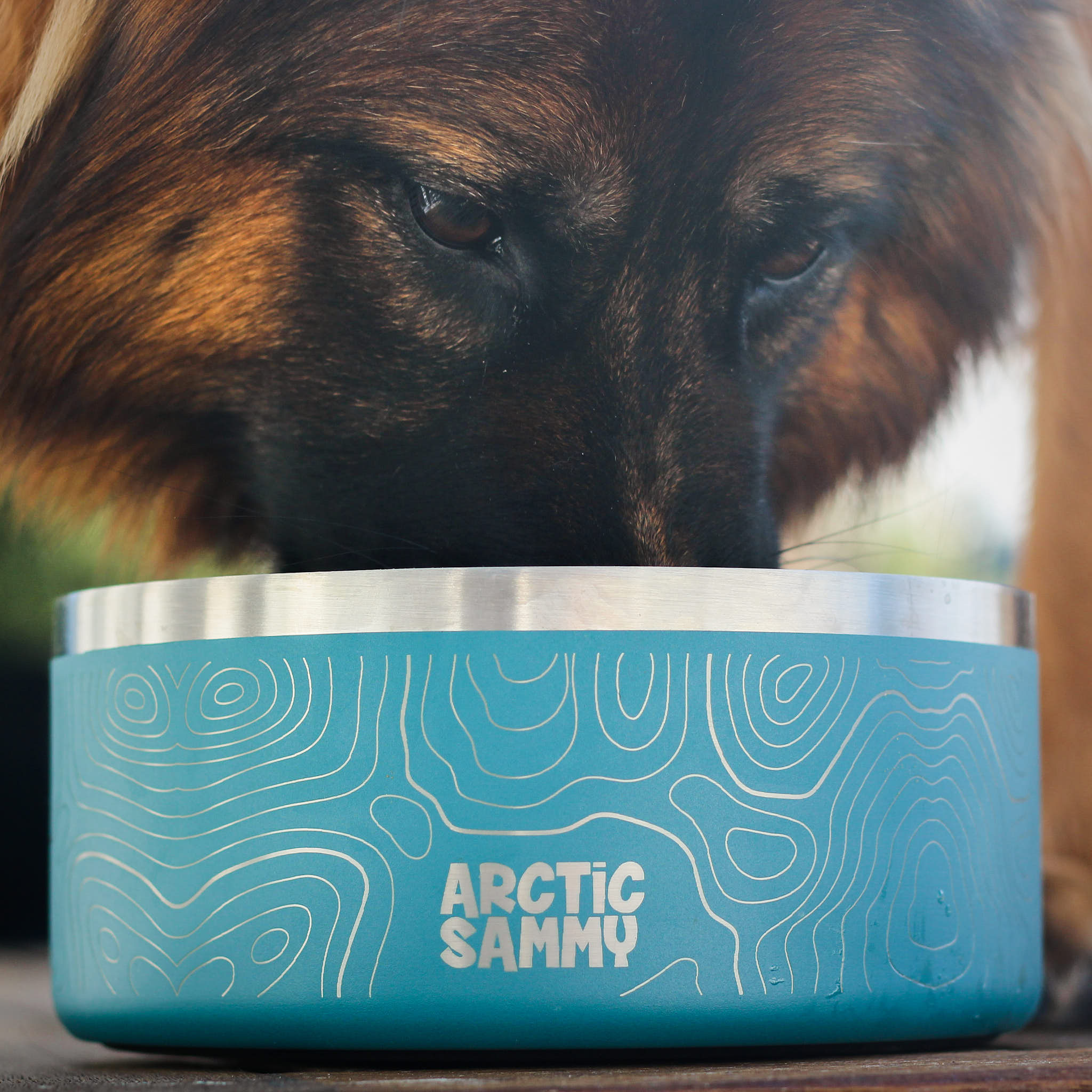 Teal Stainless Steel Dog Bowl