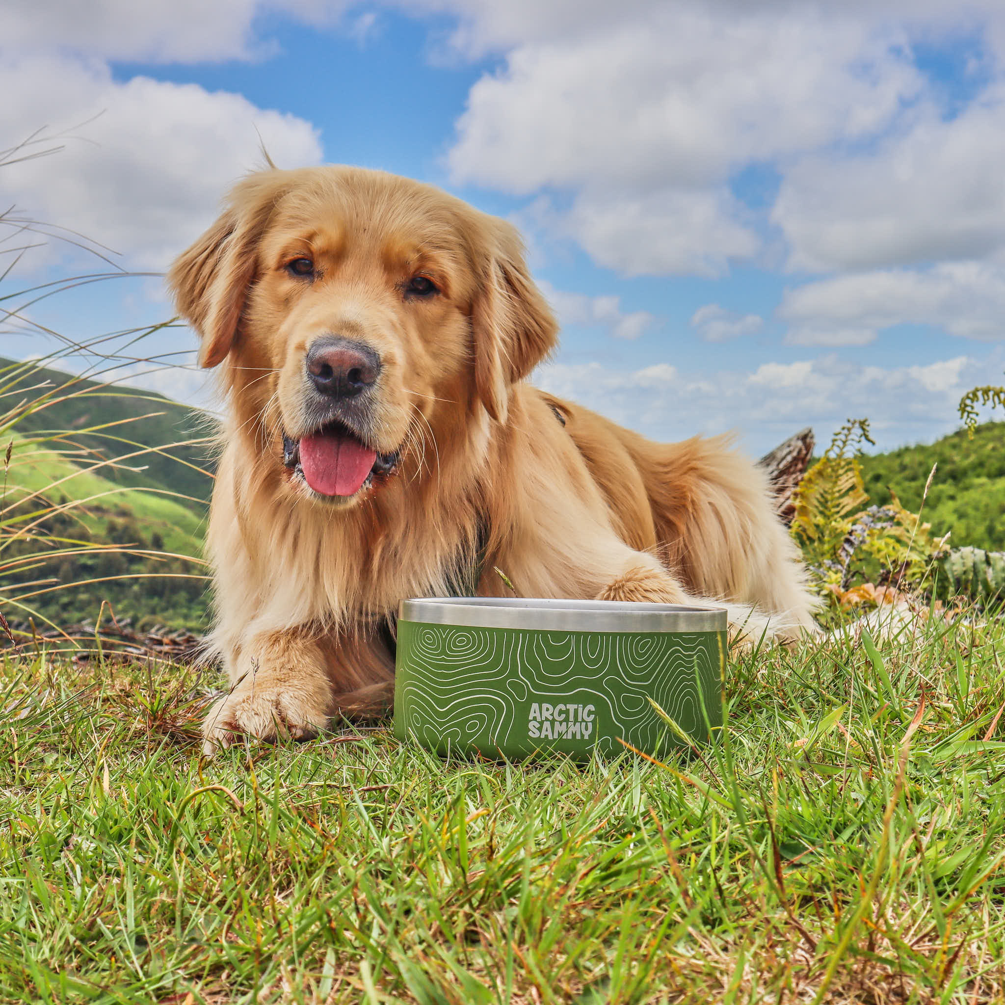Teal Stainless Steel Dog Bowl