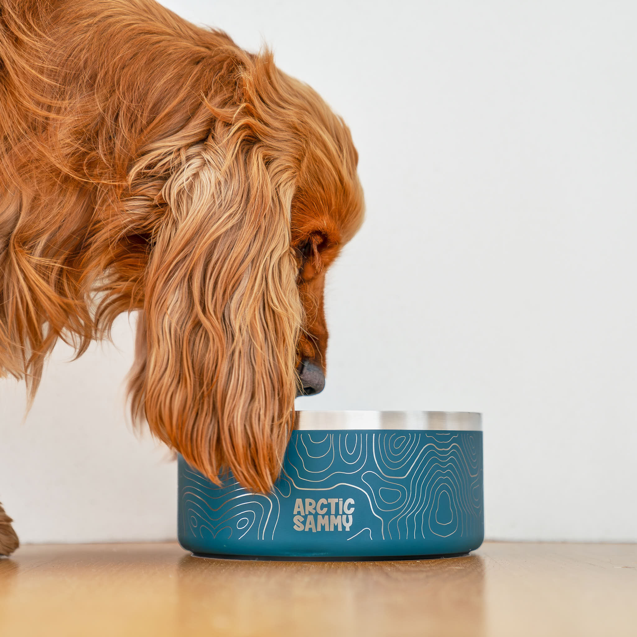 Teal Stainless Steel Dog Bowl