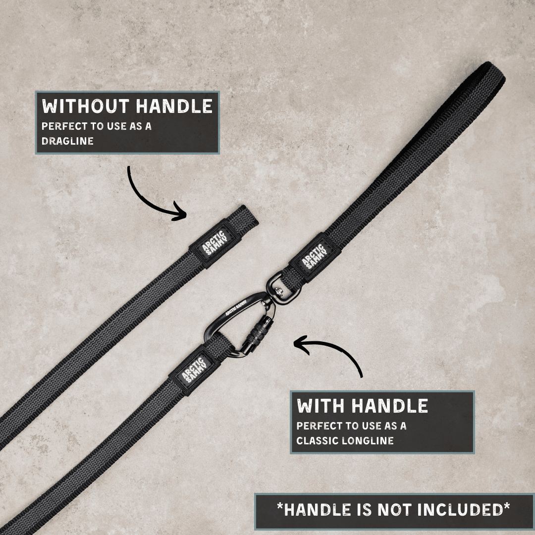 Black Train and Recall Long Line Dog Leash