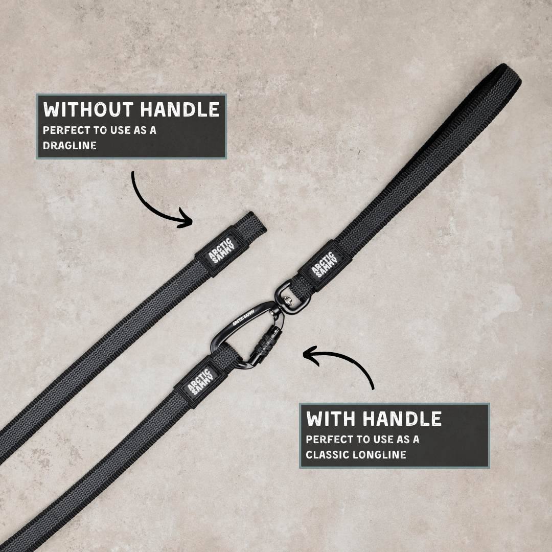 Black Train and Recall Long Line Dog Leash - Handle