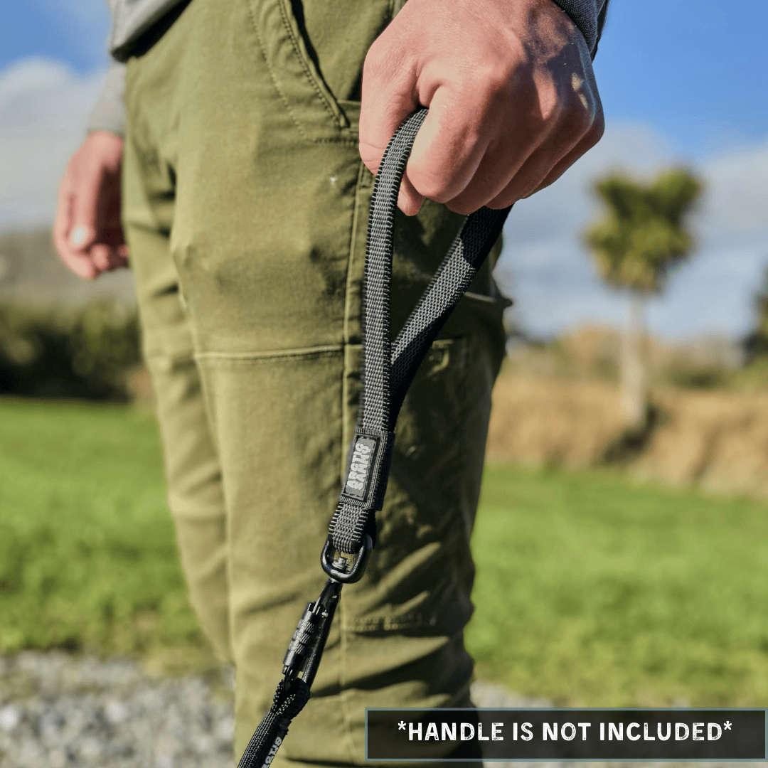 Black Train and Recall Long Line Dog Leash