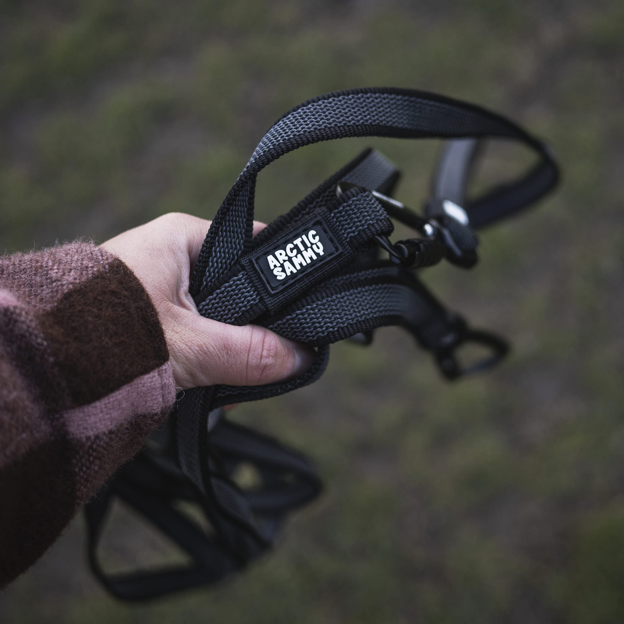 Black Train and Recall Long Line Dog Leash