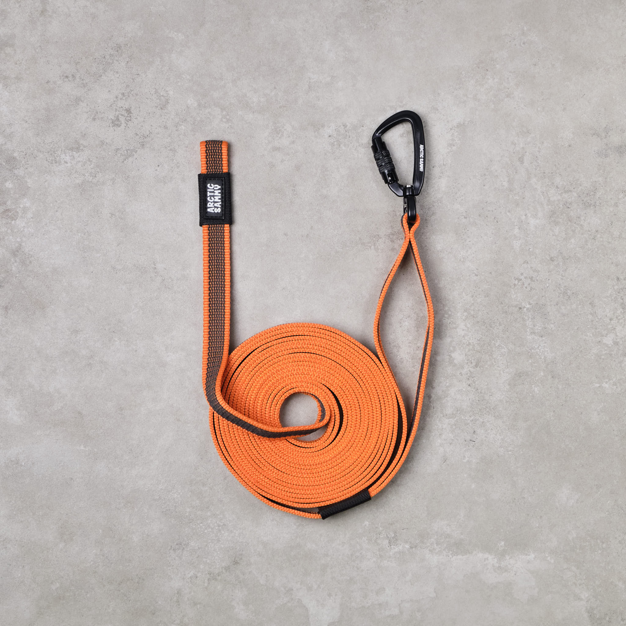 Black Train and Recall Long Line Dog Leash
