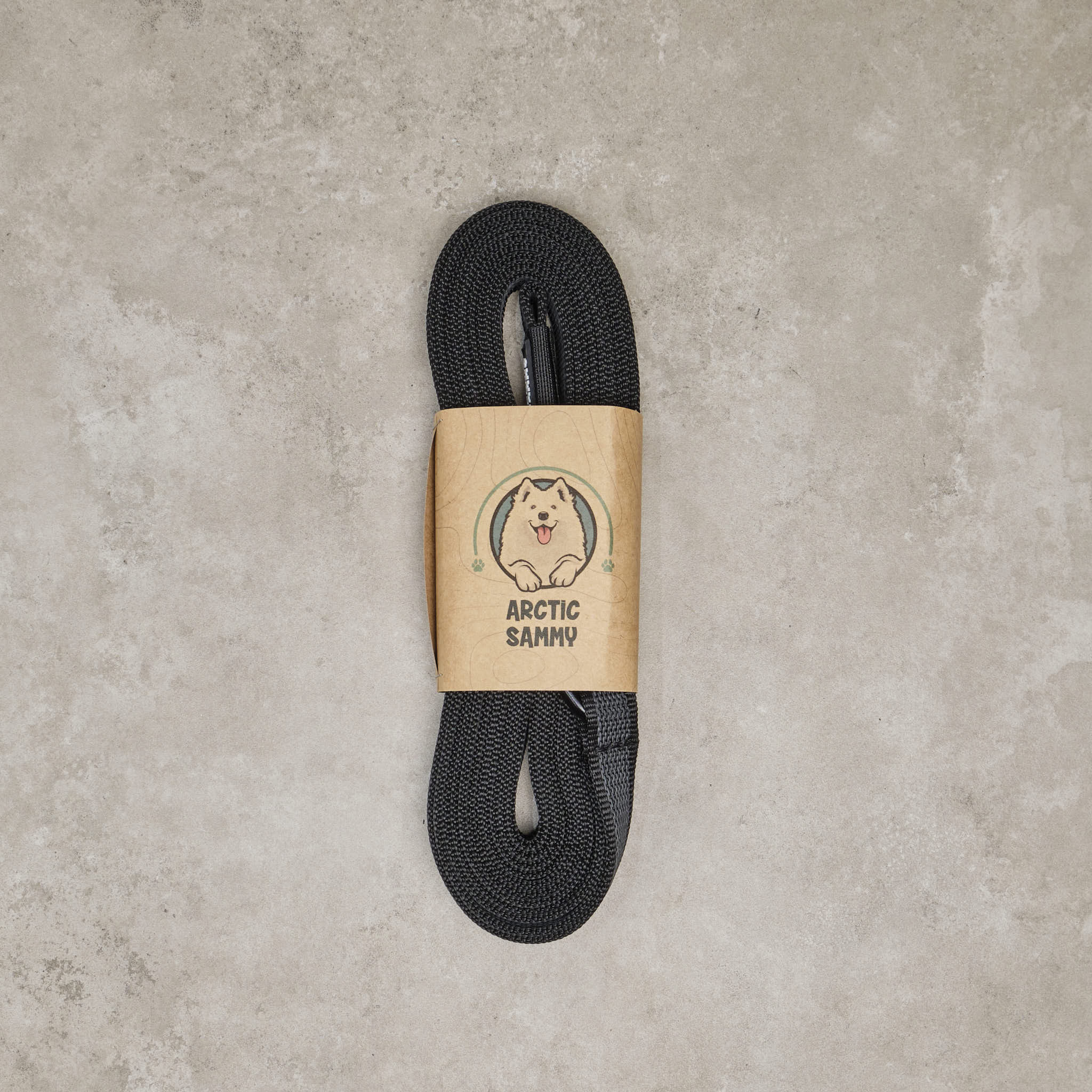 Black Train and Recall Long Line Dog Leash