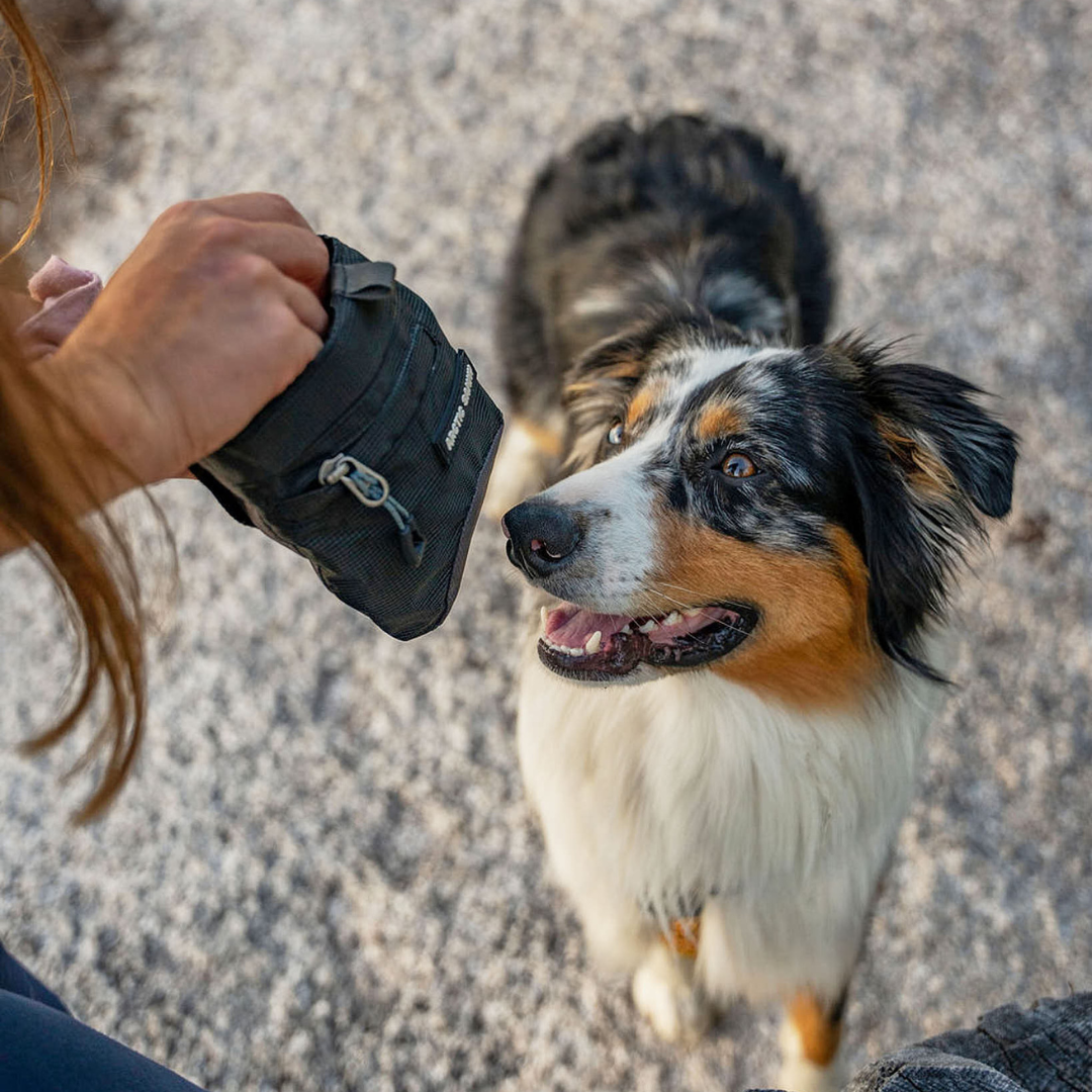 Dog Treat Pouch