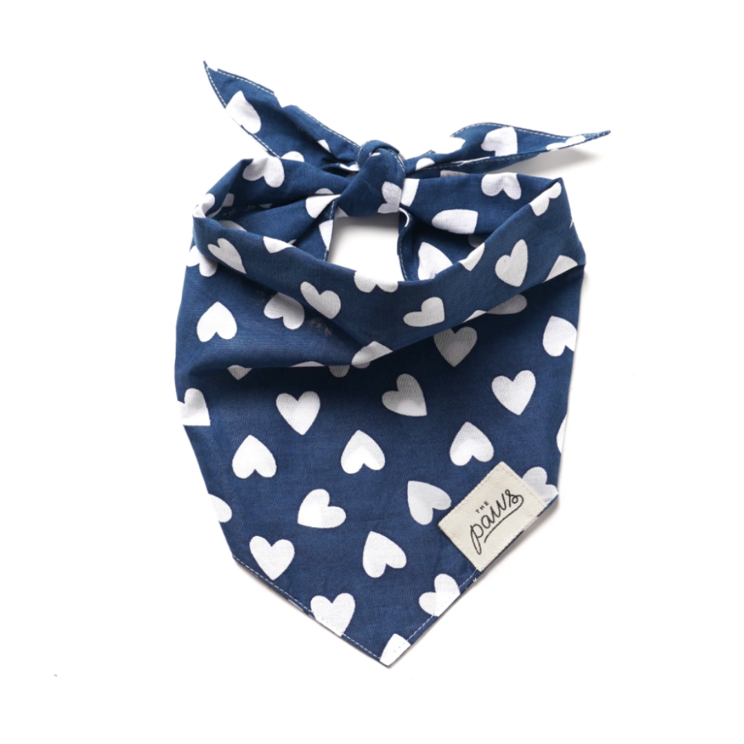 the paws tully dog bandana