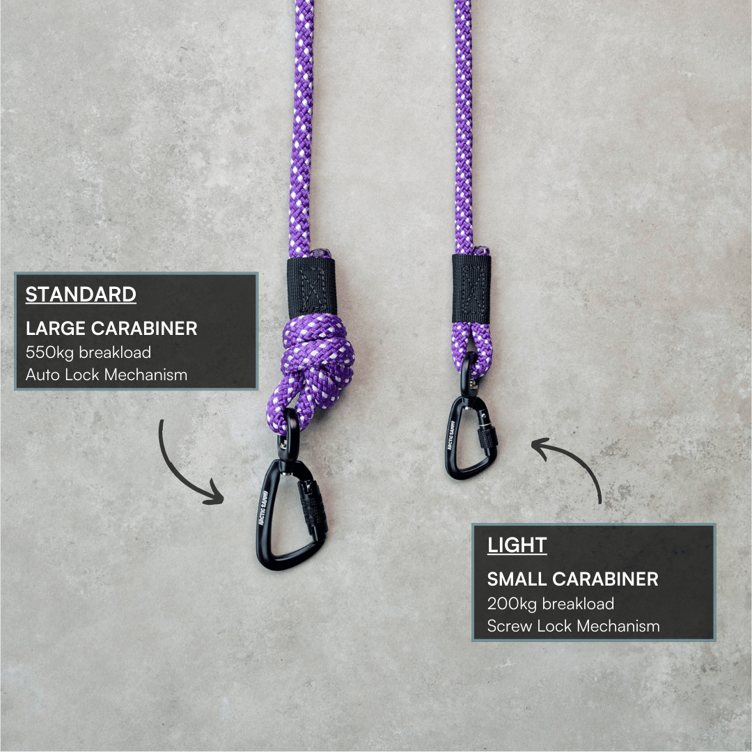 Waihi Handsfree Double Dog Leash
