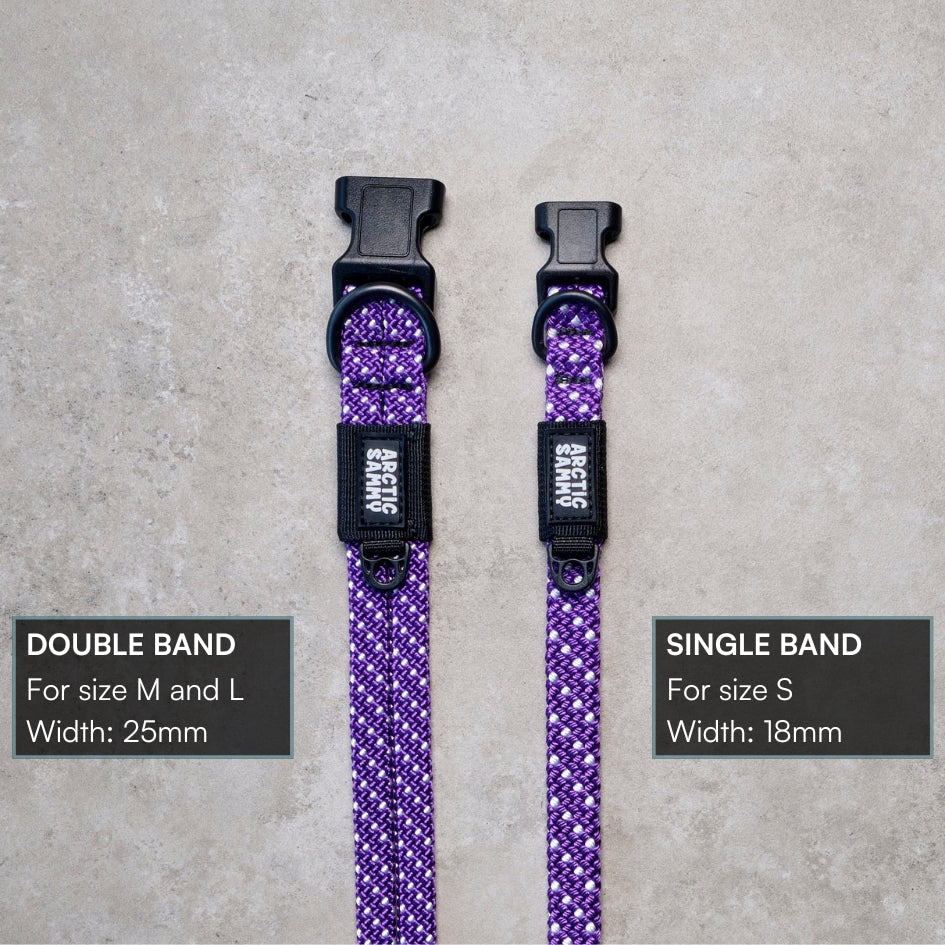 Waihi Dog Collar