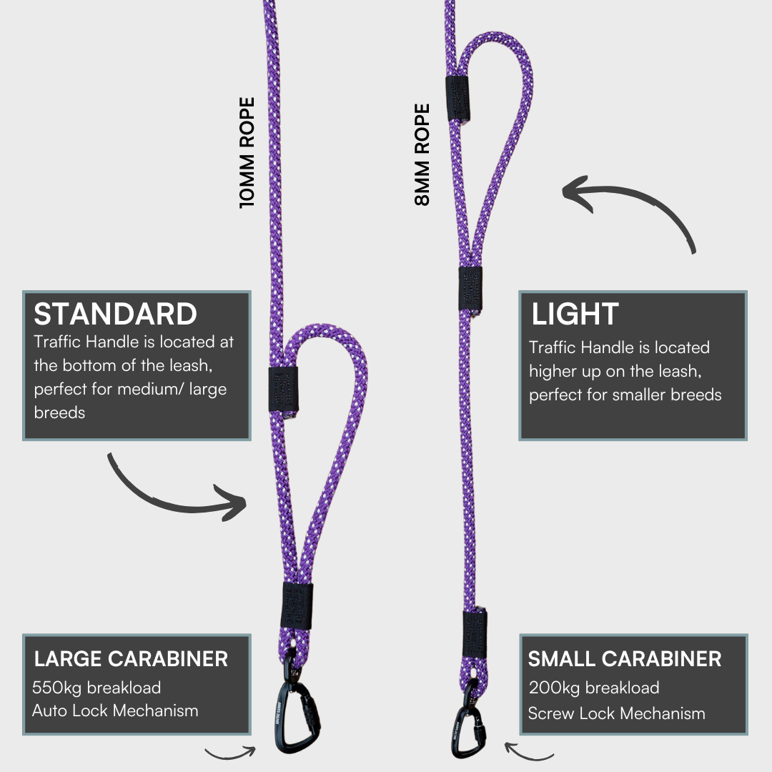 Waihi Rope Dog Leash with Traffic Handle