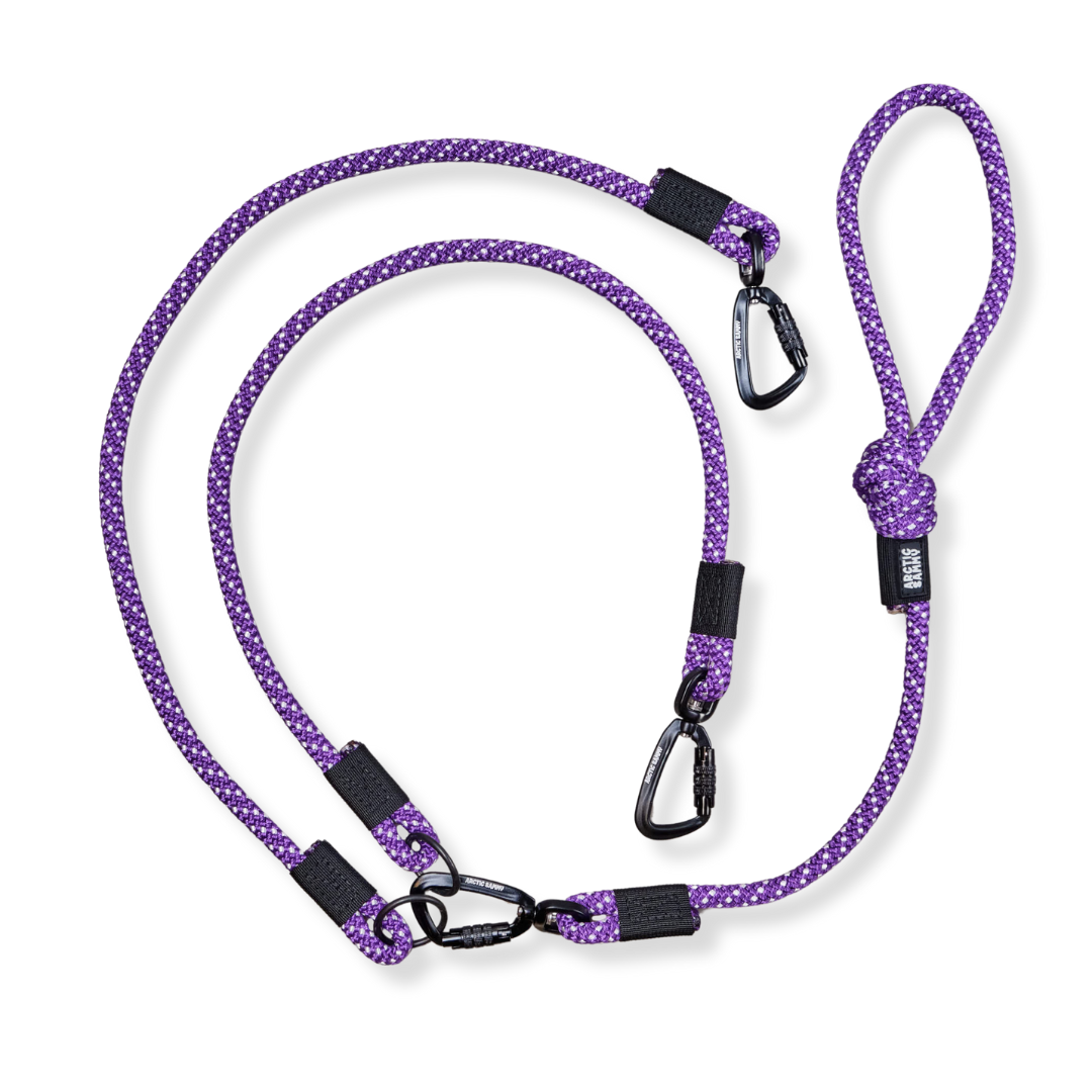 Waihi Double Dog Leash