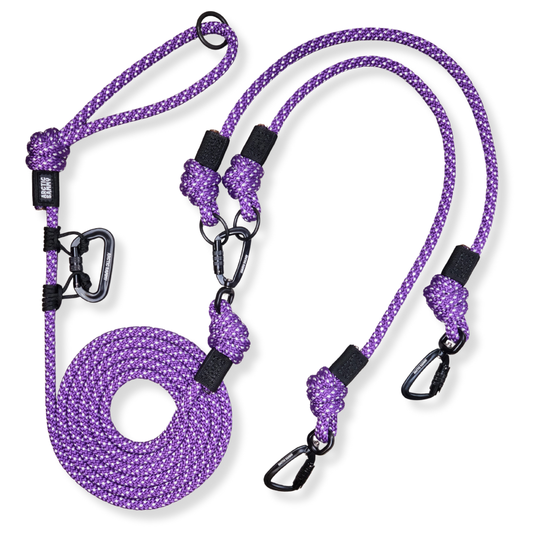 Waihi Handsfree Double Dog Leash