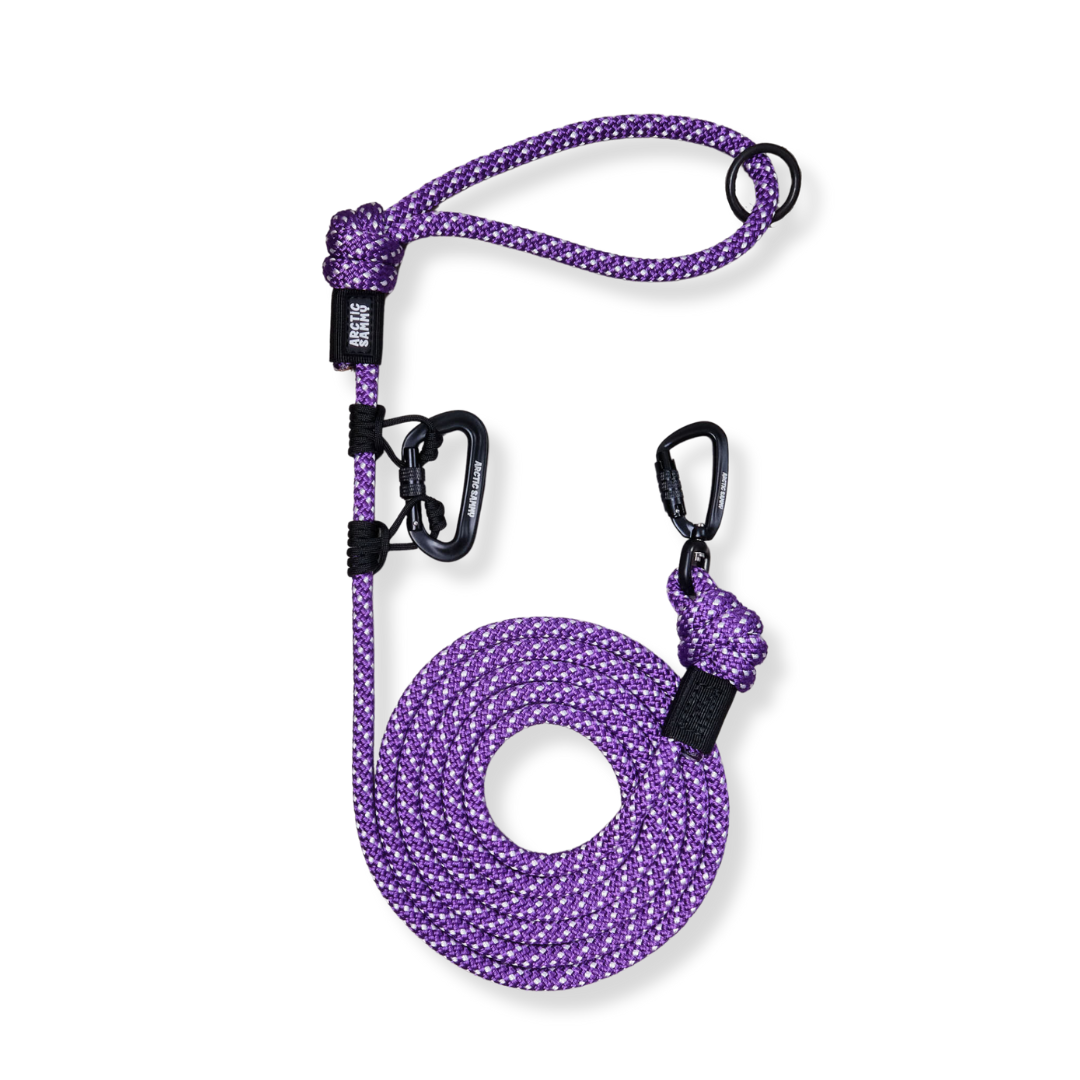 Waihai Trail Runner Handsfree Dog Leash