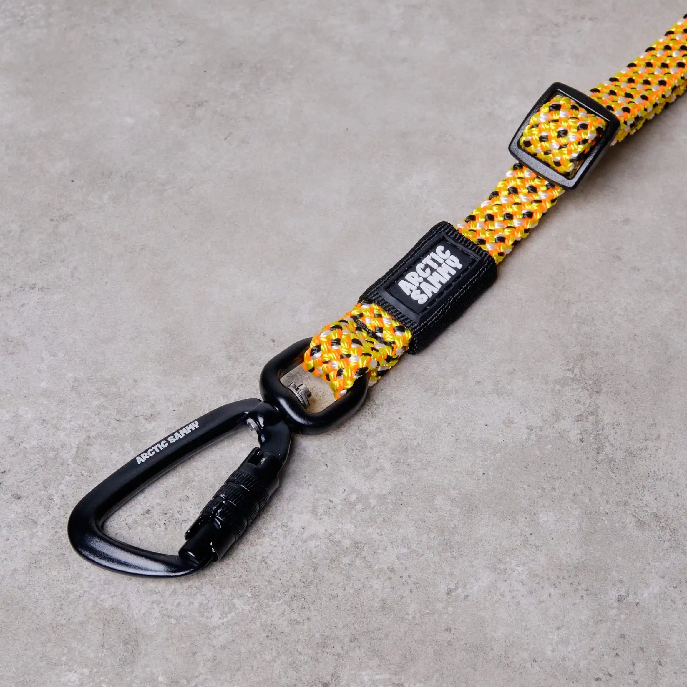 3-in-1 Dog Car Tether Raglan