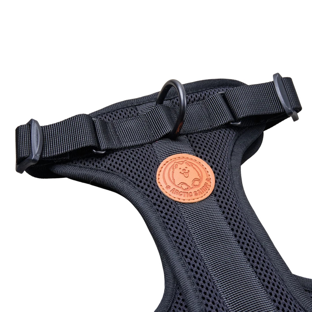 Arctic Sammy Adventure Dog Harness - Black