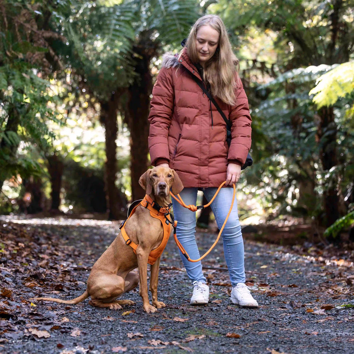 Arctic Sammy Adventure Dog Harness - Orange