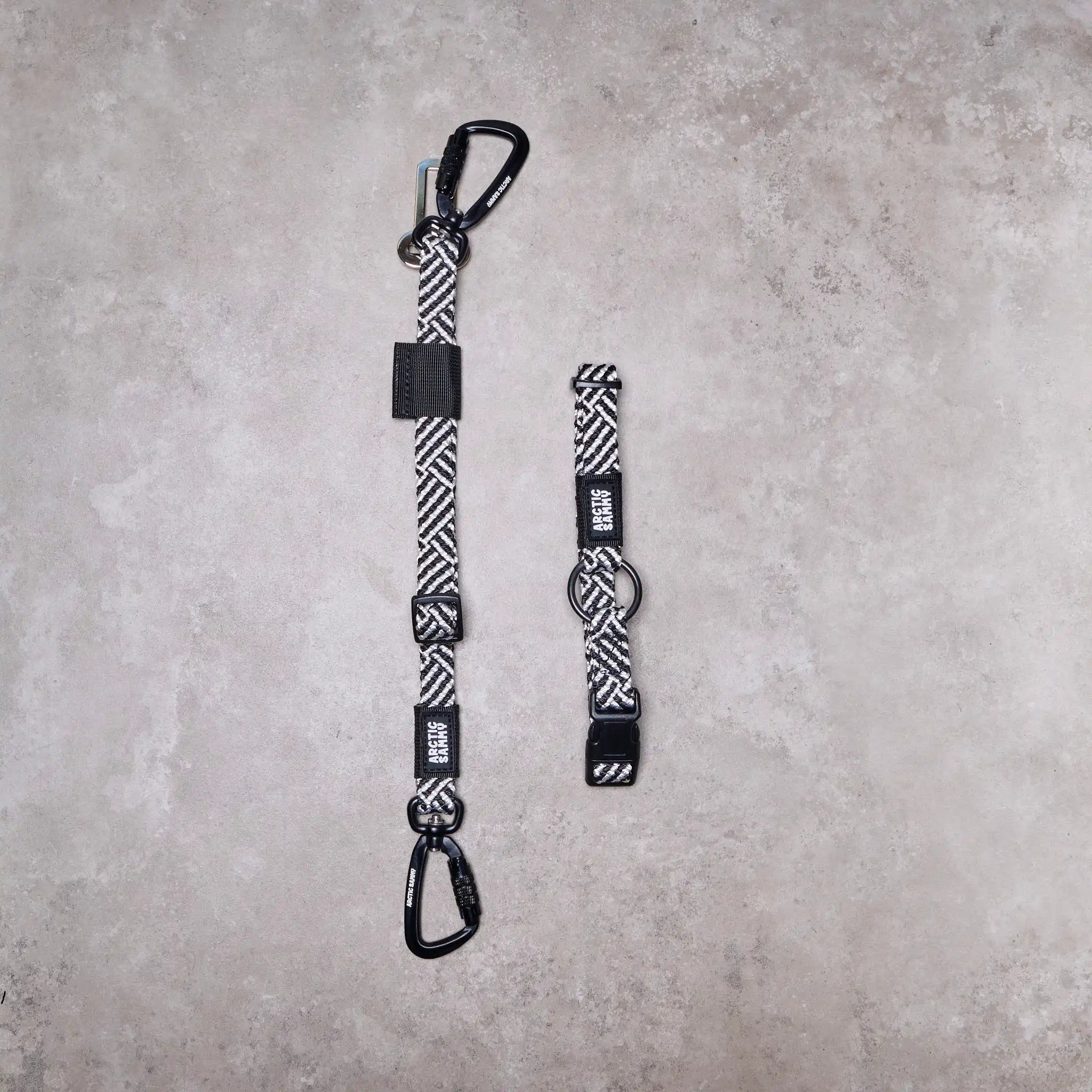 3-in-1 Dog Car Tether Aoraki