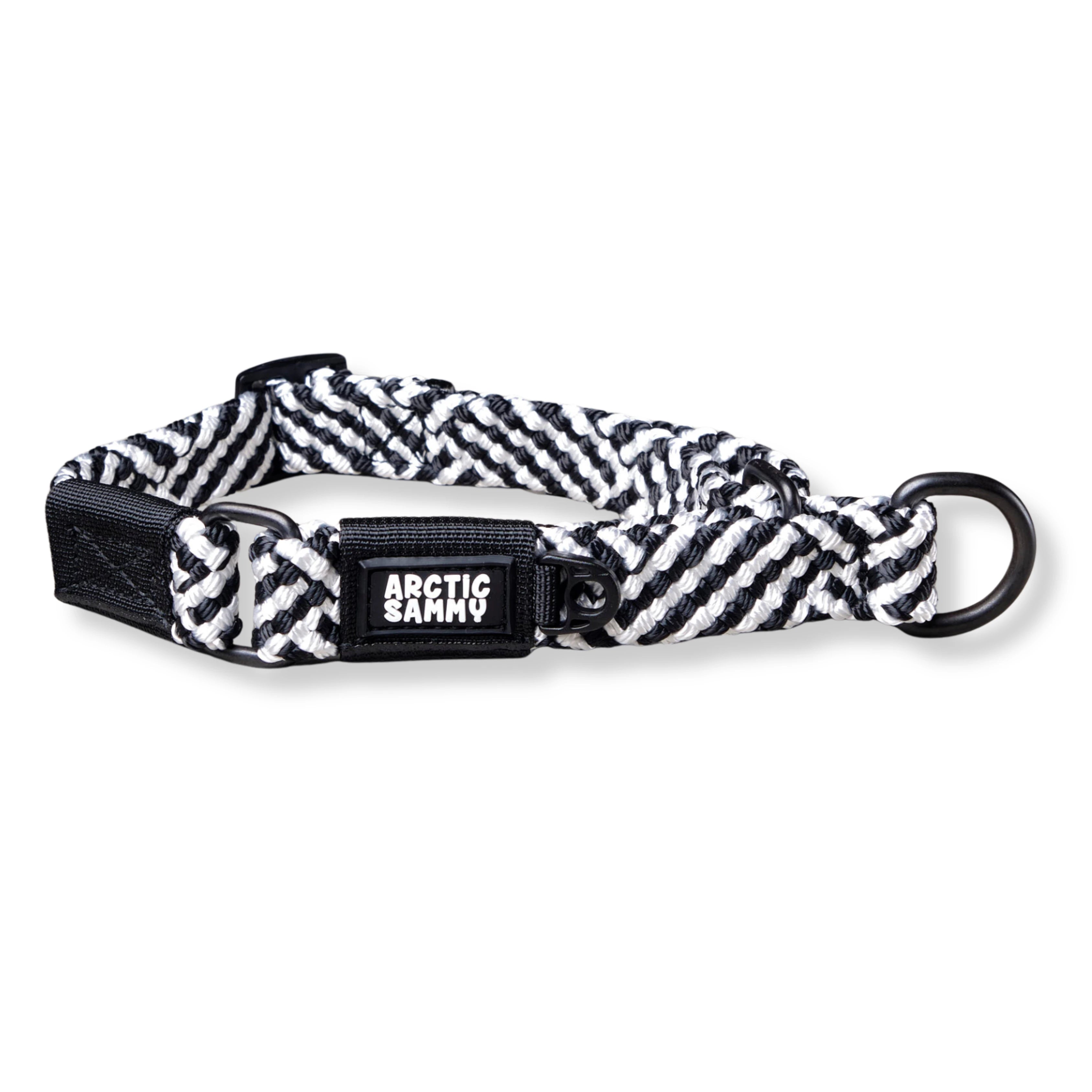 Aoraki Martingale Collar