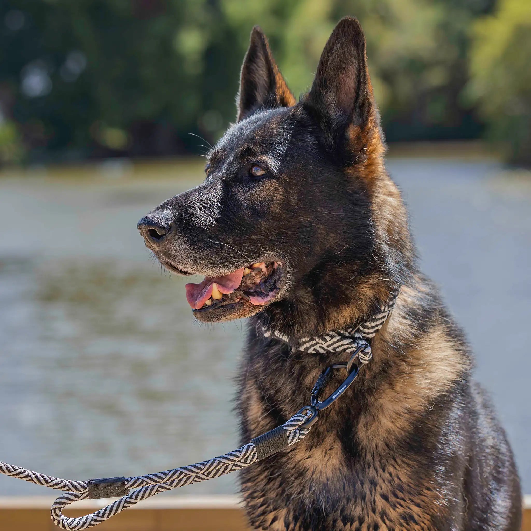 Aoraki Martingale Collar