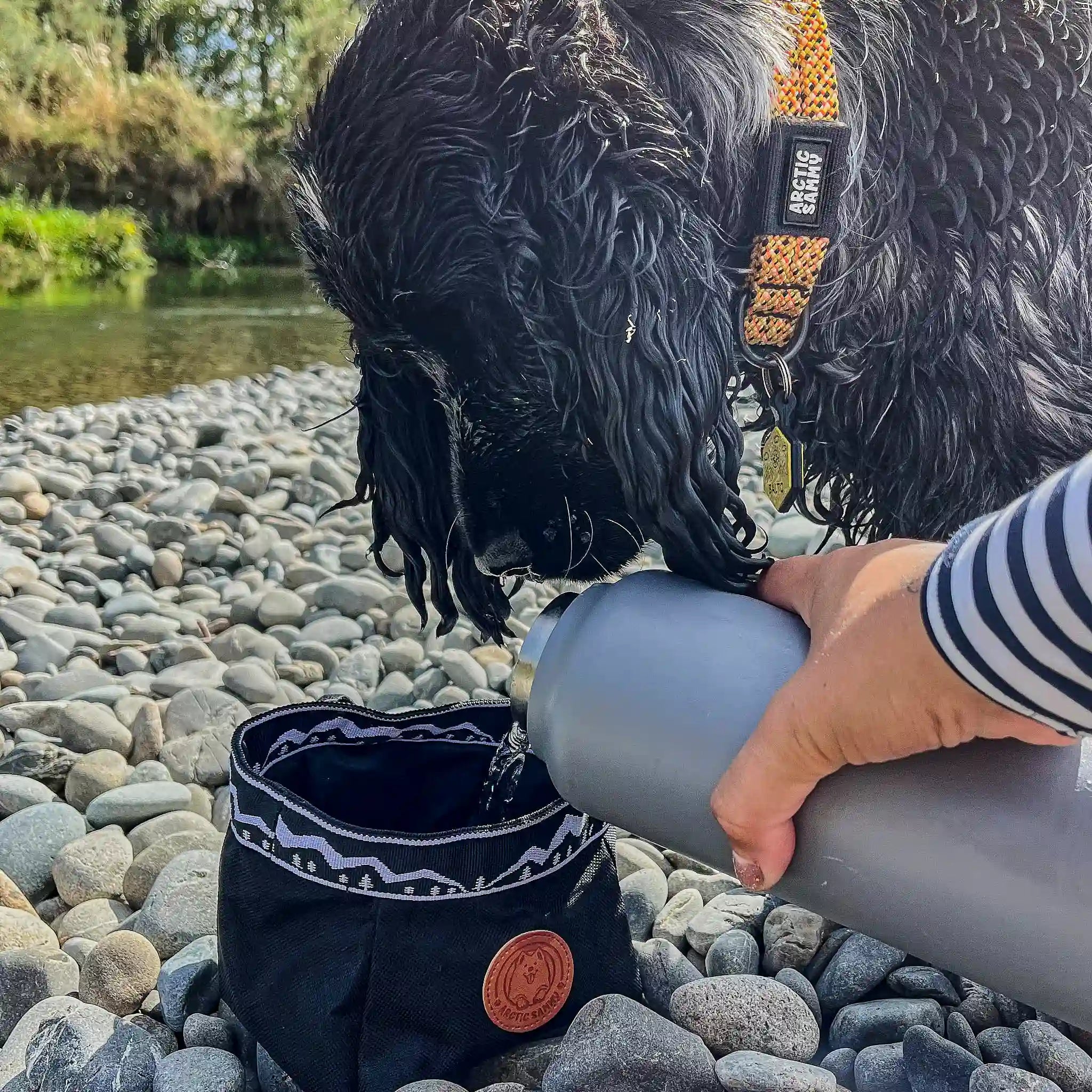 Backcountry Travel Dog Bowl