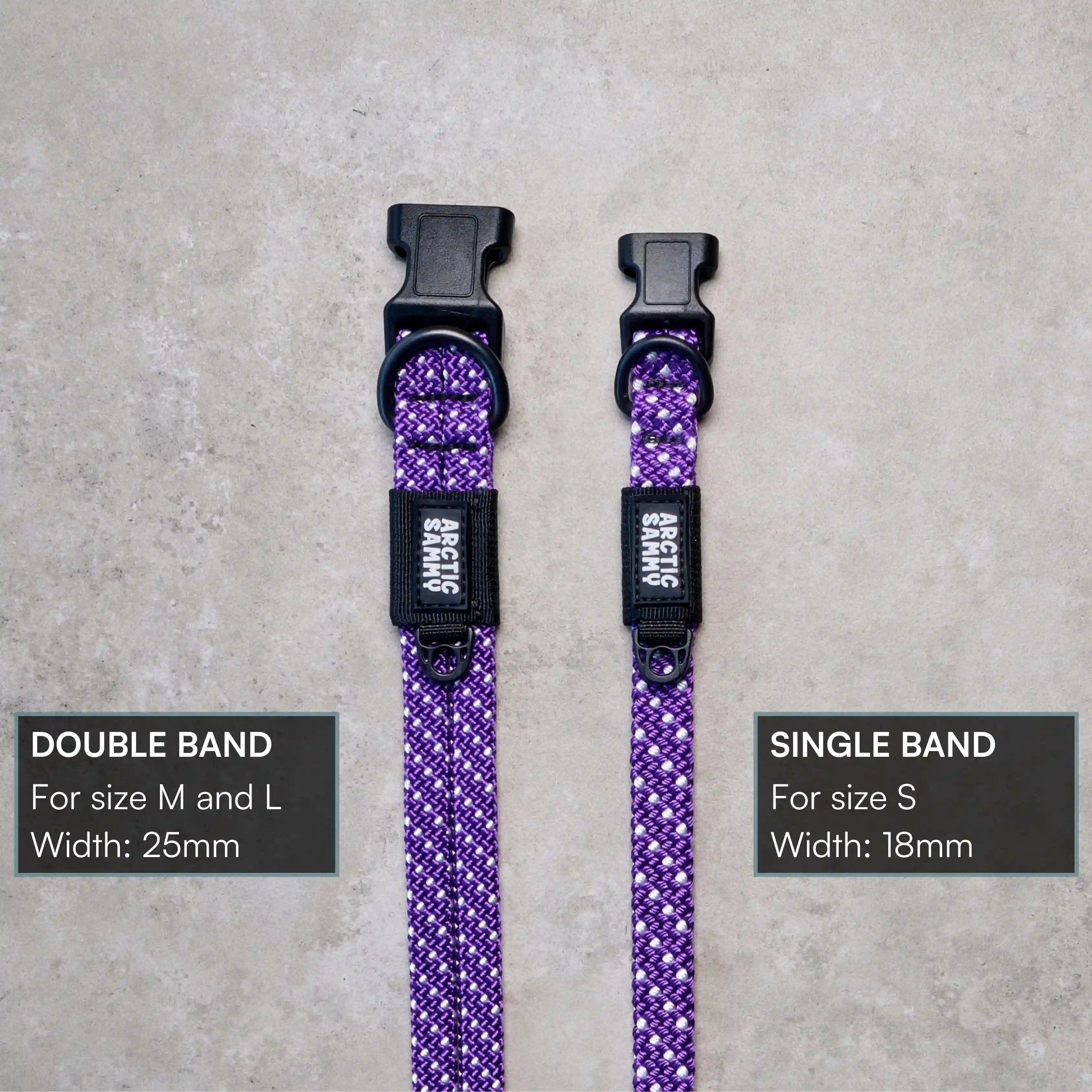 Waihi Dog Collar