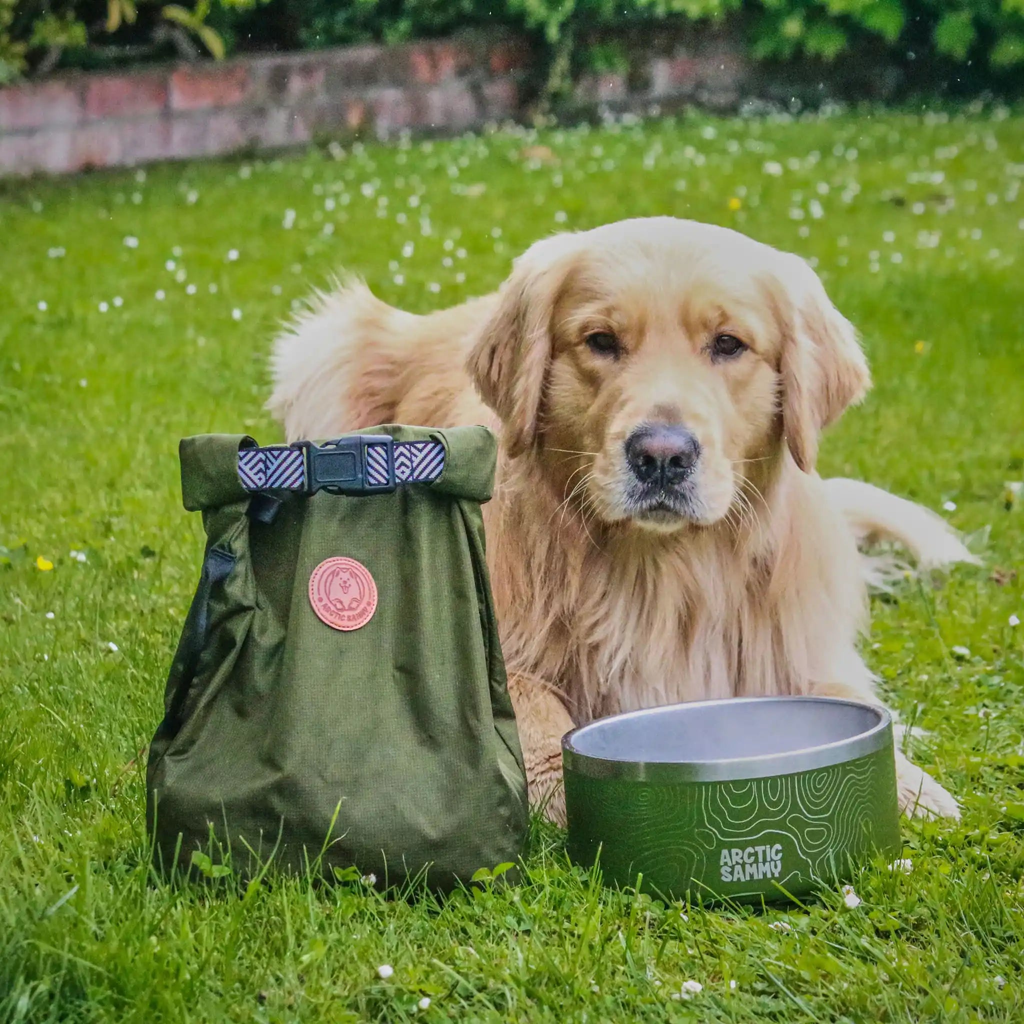 Olive Explorer Dog Food Travel Bag