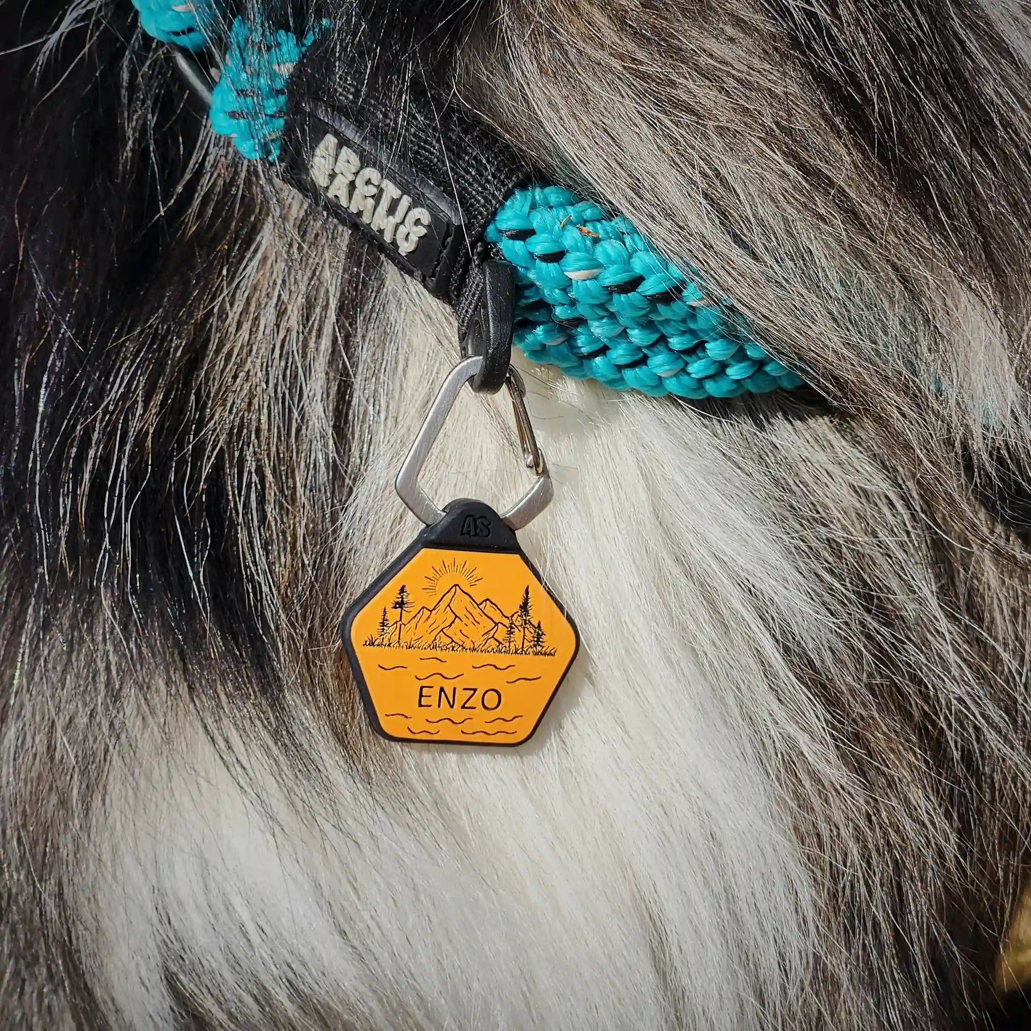 Dog ID Tag - Theo
