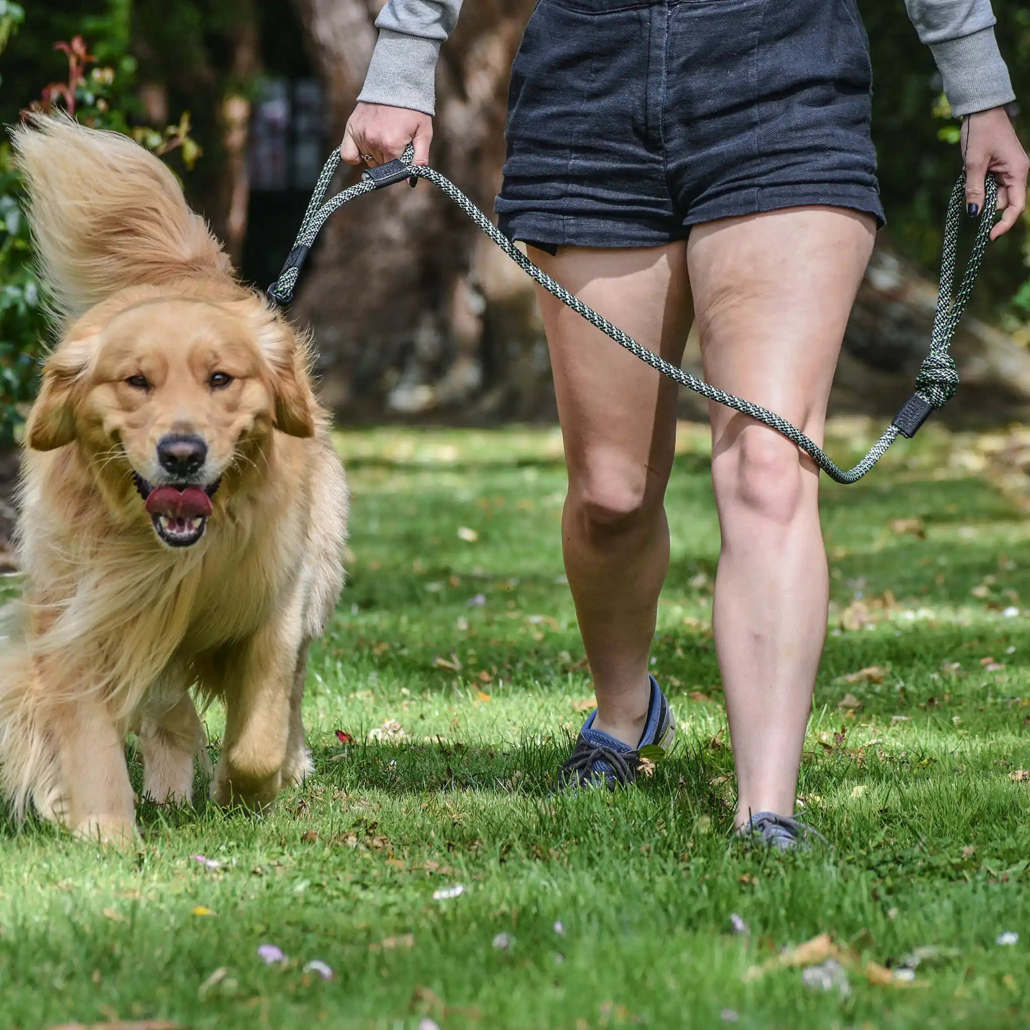 Craigieburn Rope Dog Leash with Traffic Handle