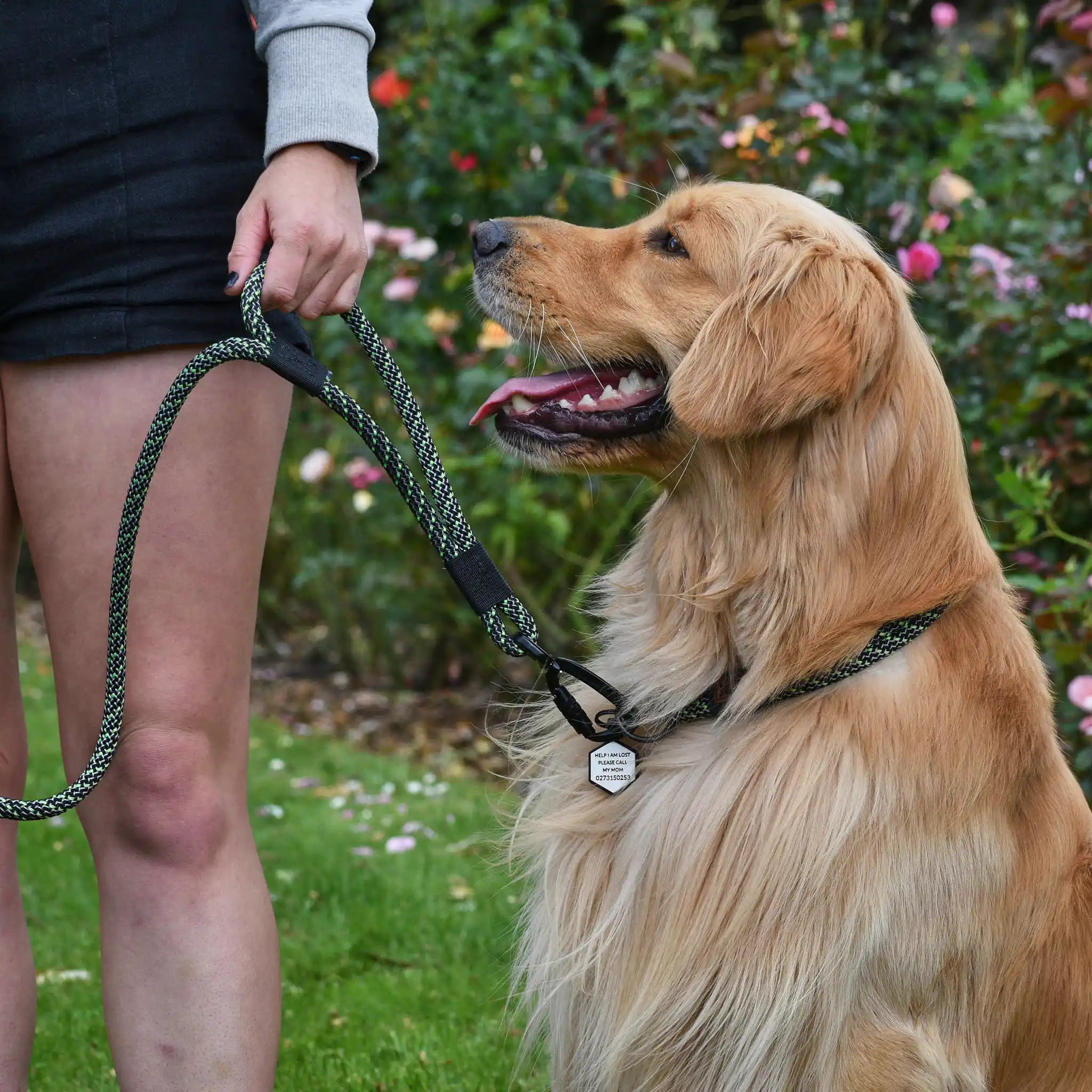 Craigieburn Rope Dog Leash with Traffic Handle
