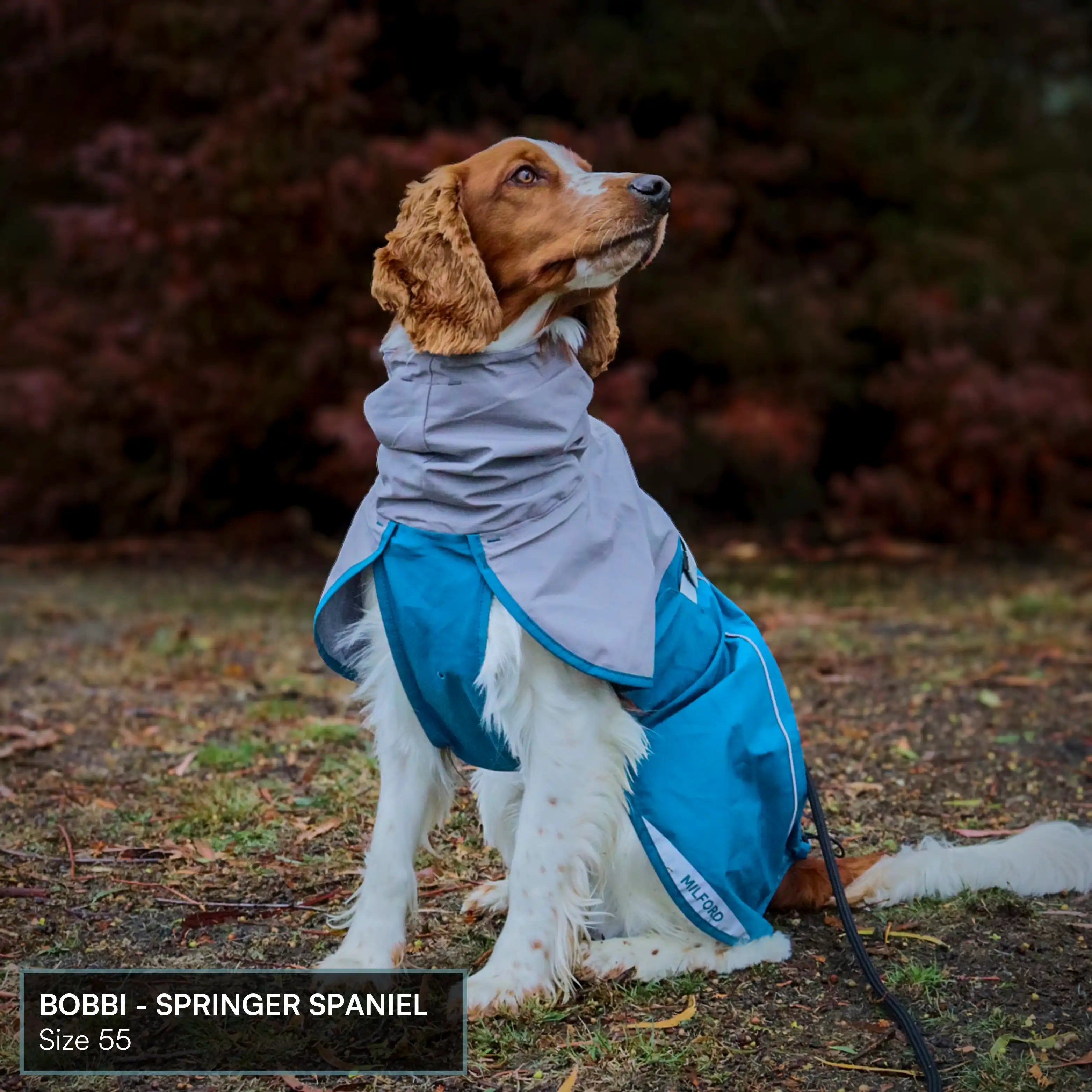 Dog Raincoat Milford