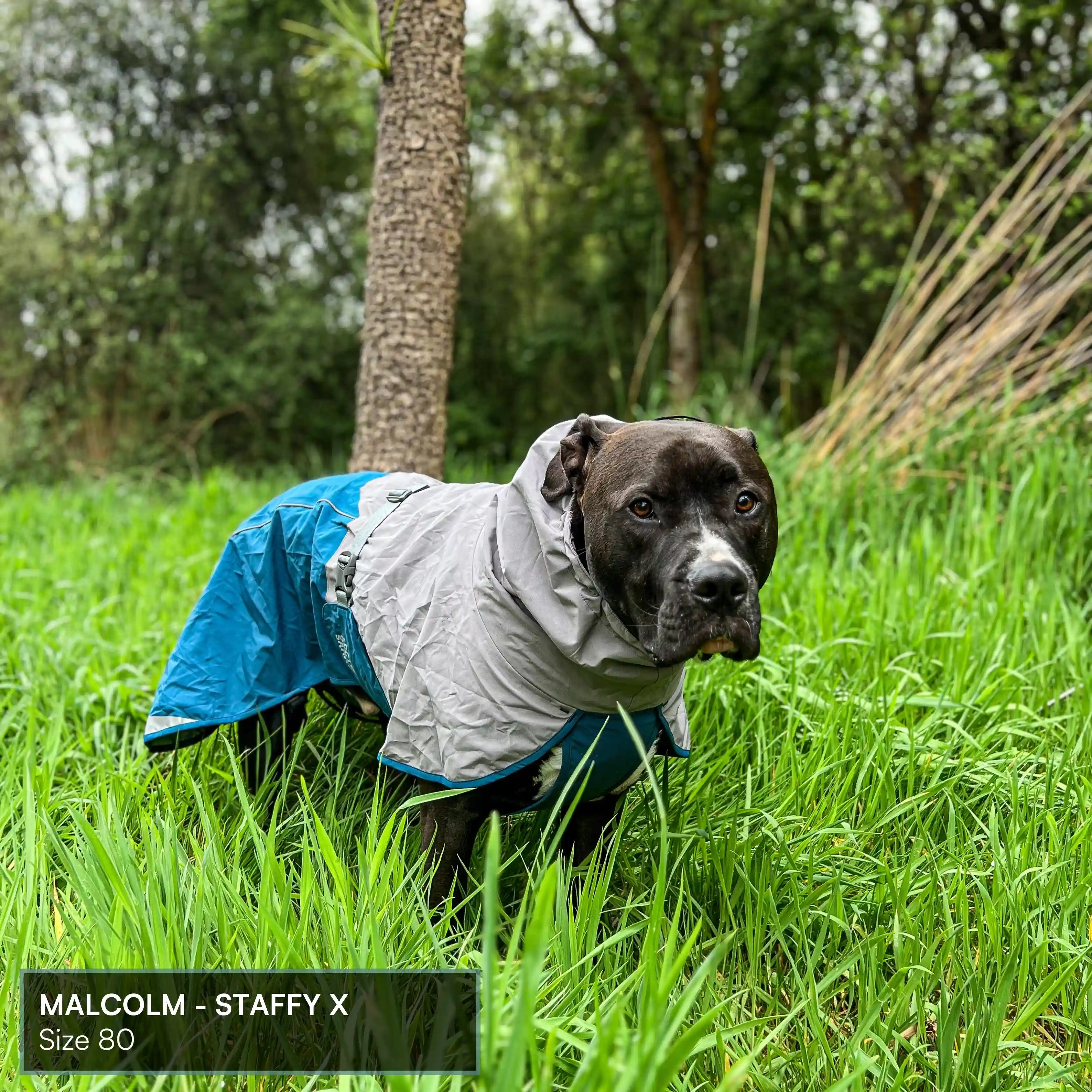 Dog Raincoat Milford