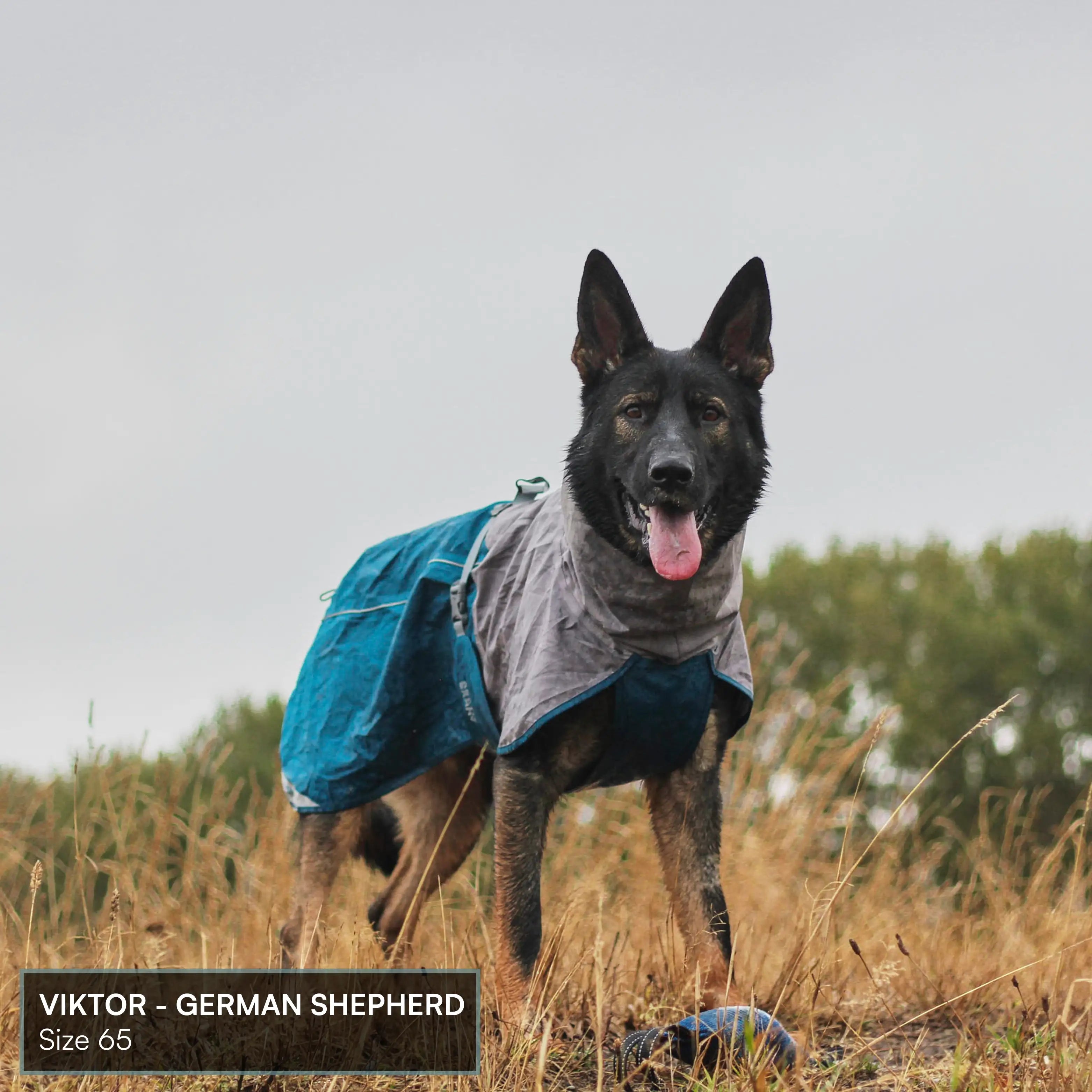 Dog Raincoat Milford