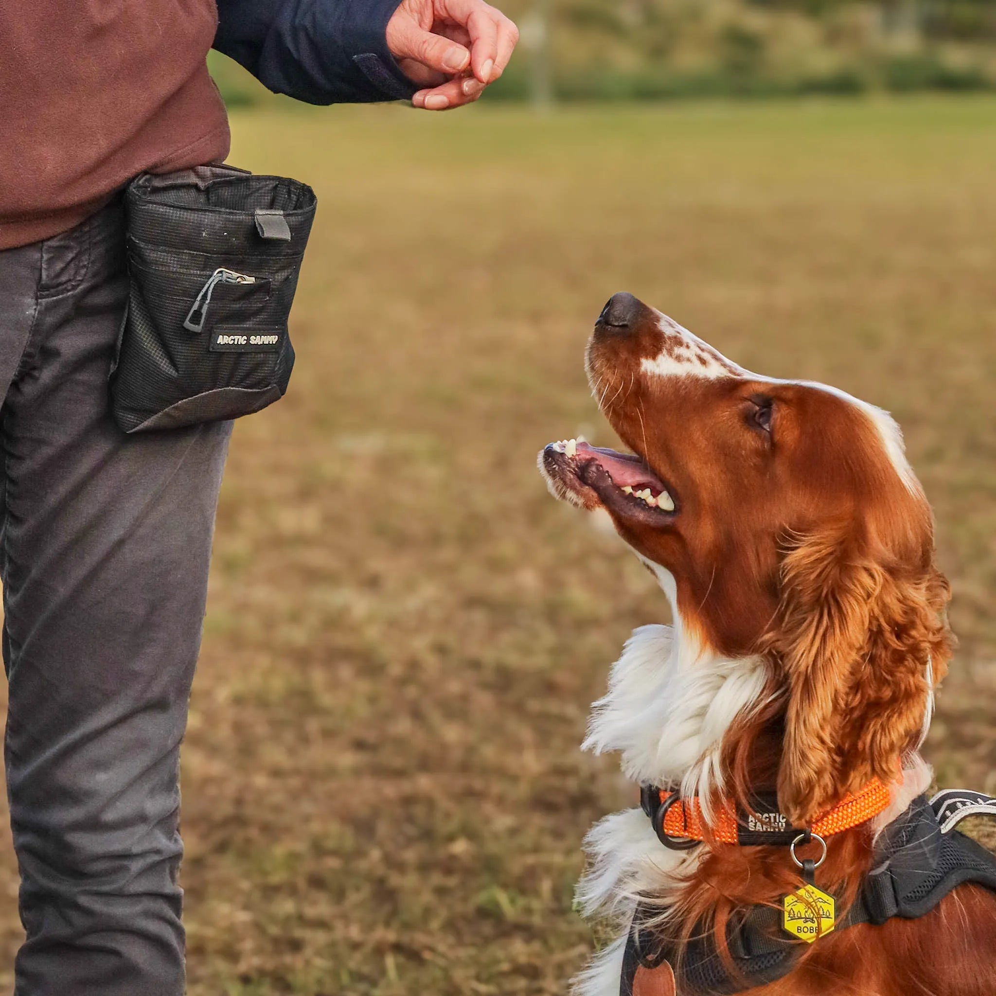 Dog Treat Pouch