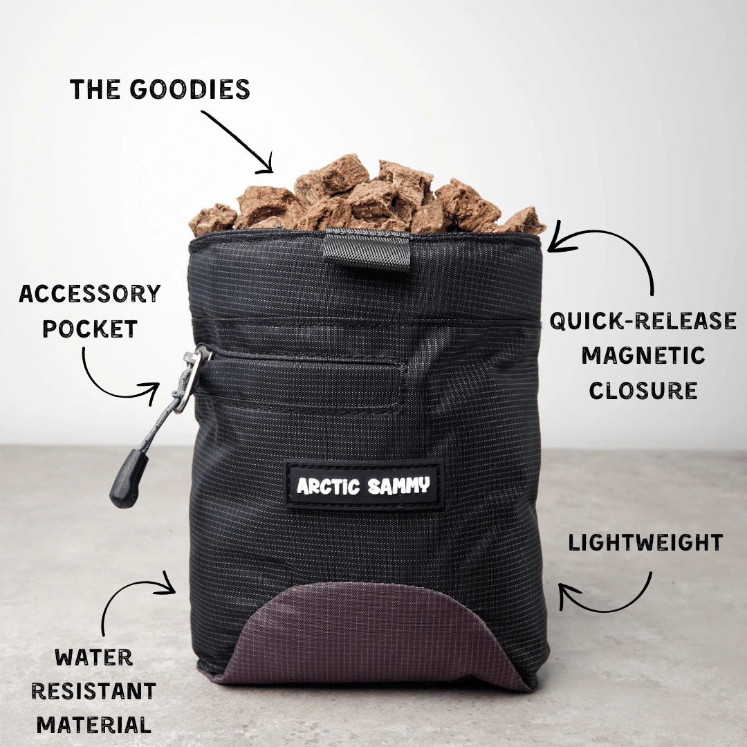 Dog Treat Pouch