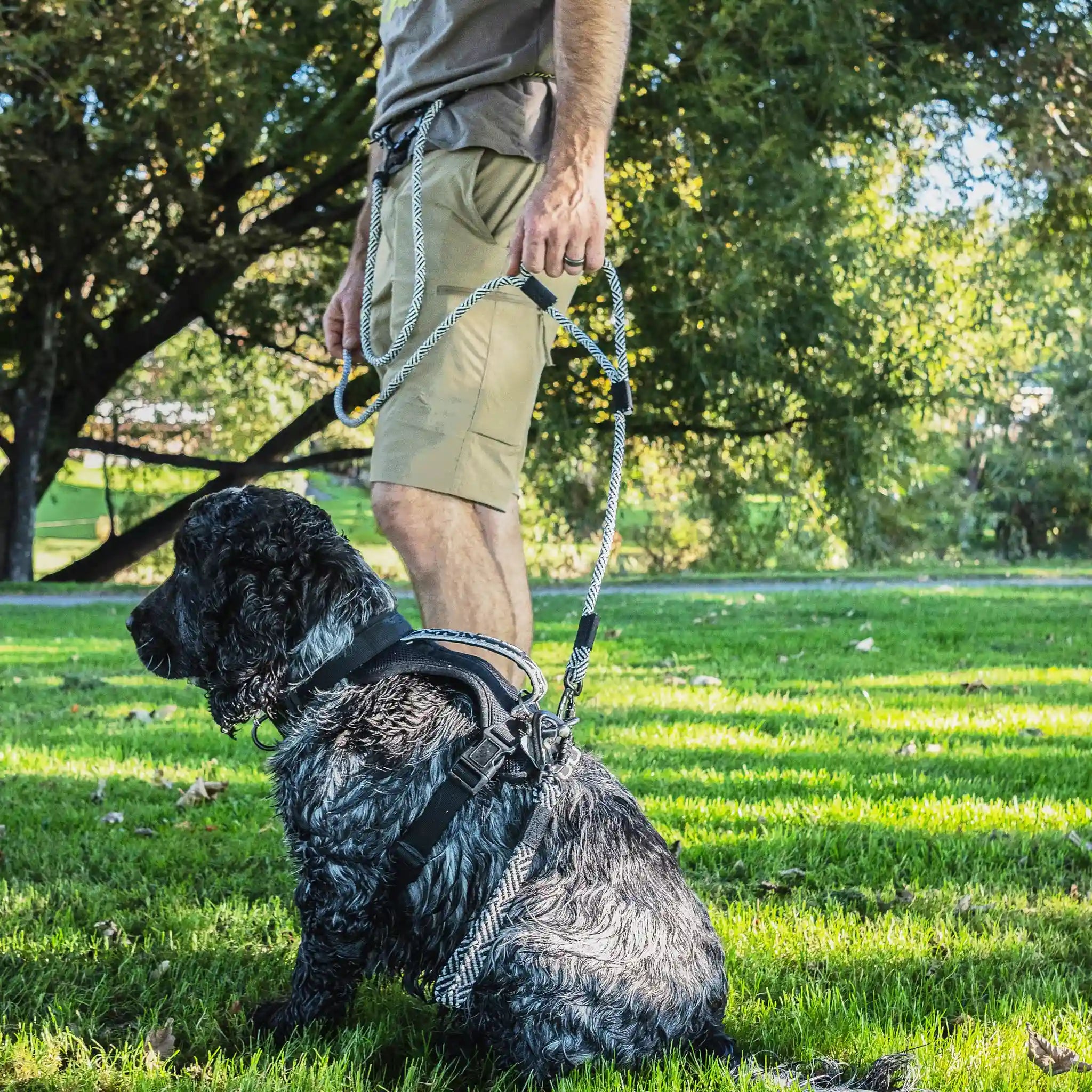 Aoraki Trail Runner Handsfree Dog Leash