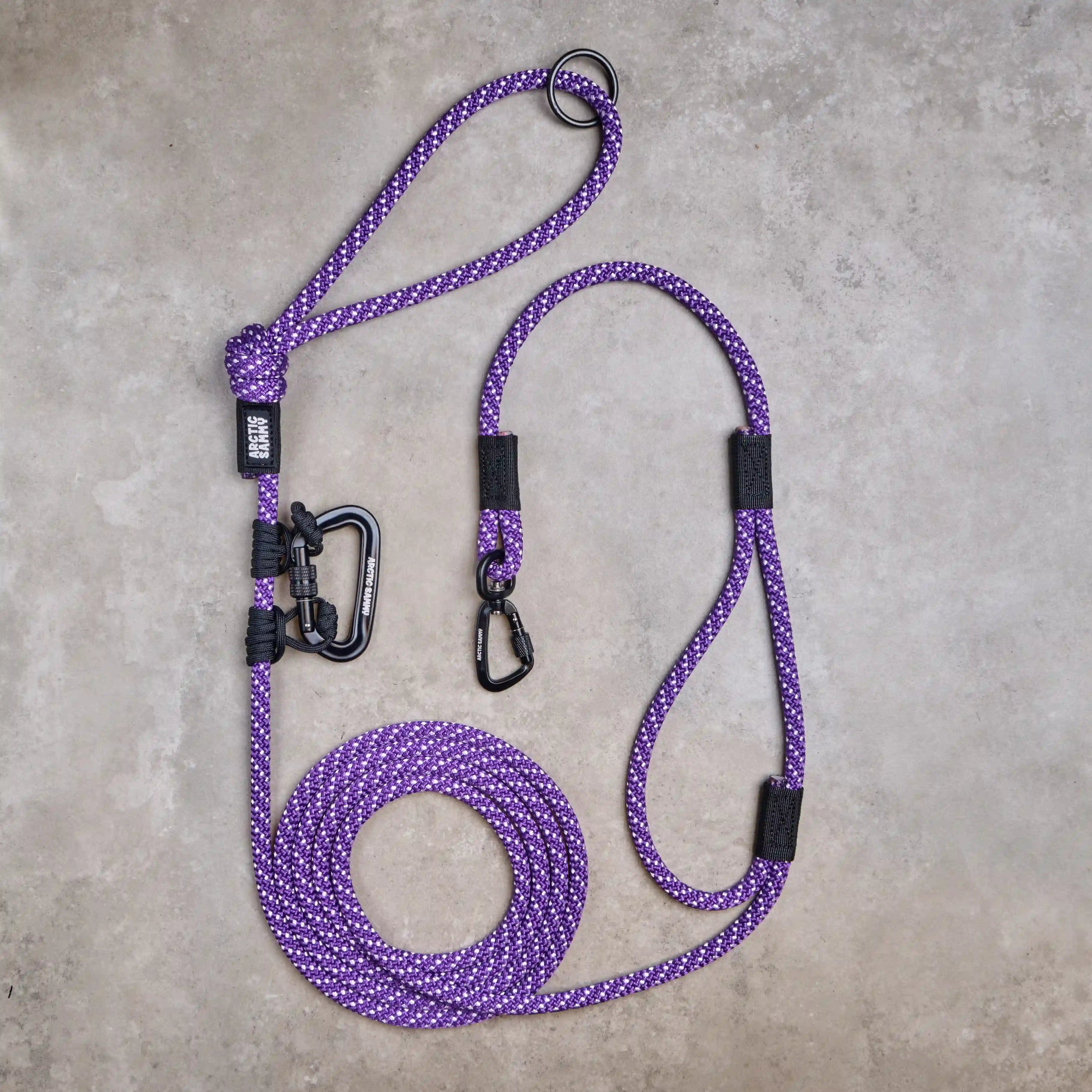Waihi Trail Runner Handsfree Dog Leash