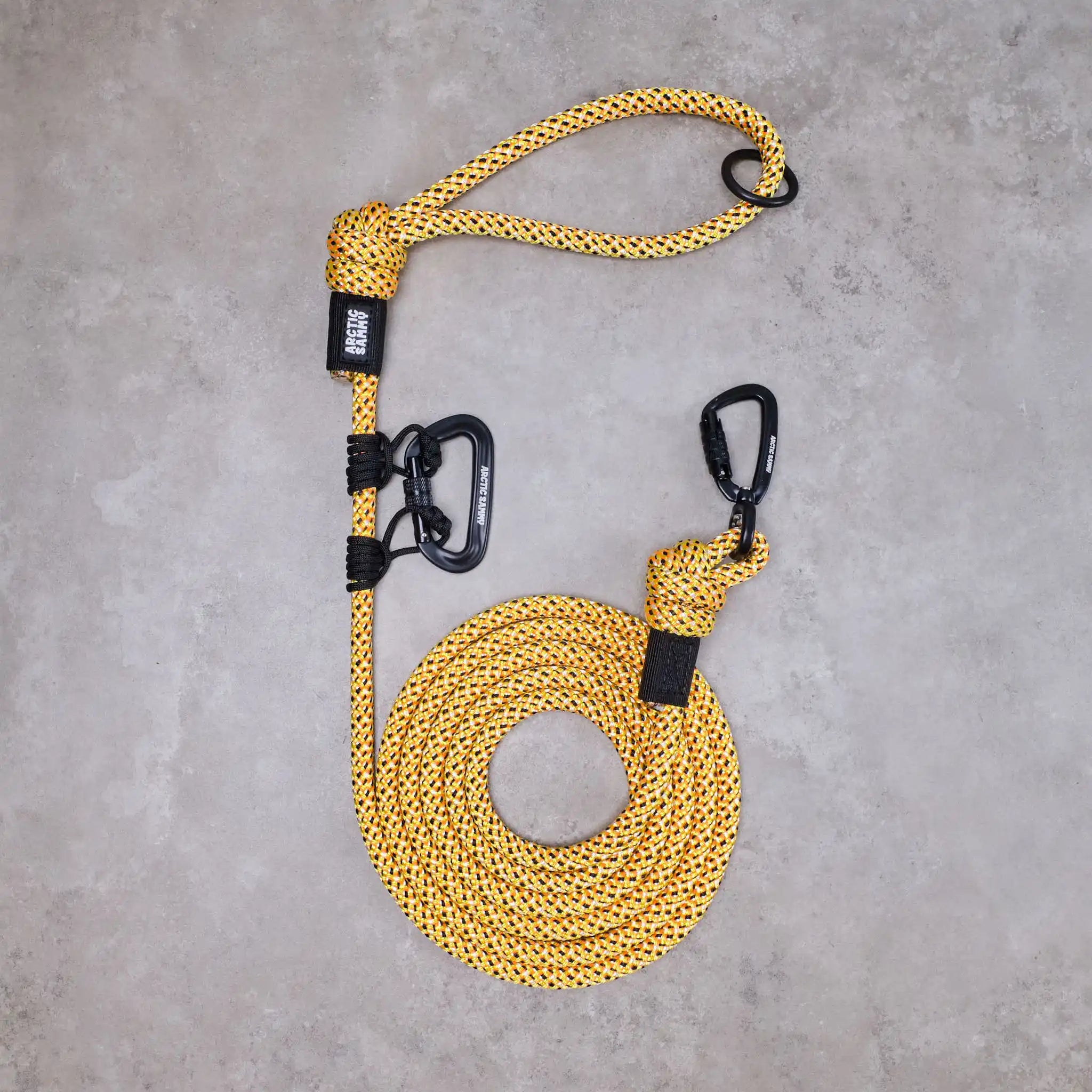 Raglan Trail Runner Handsfree Dog Leash