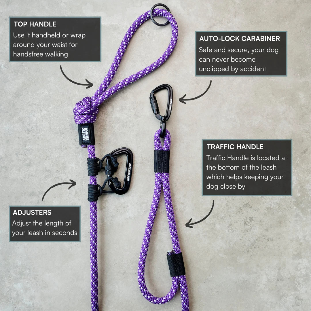 Waihi Trail Runner Handsfree Dog Leash